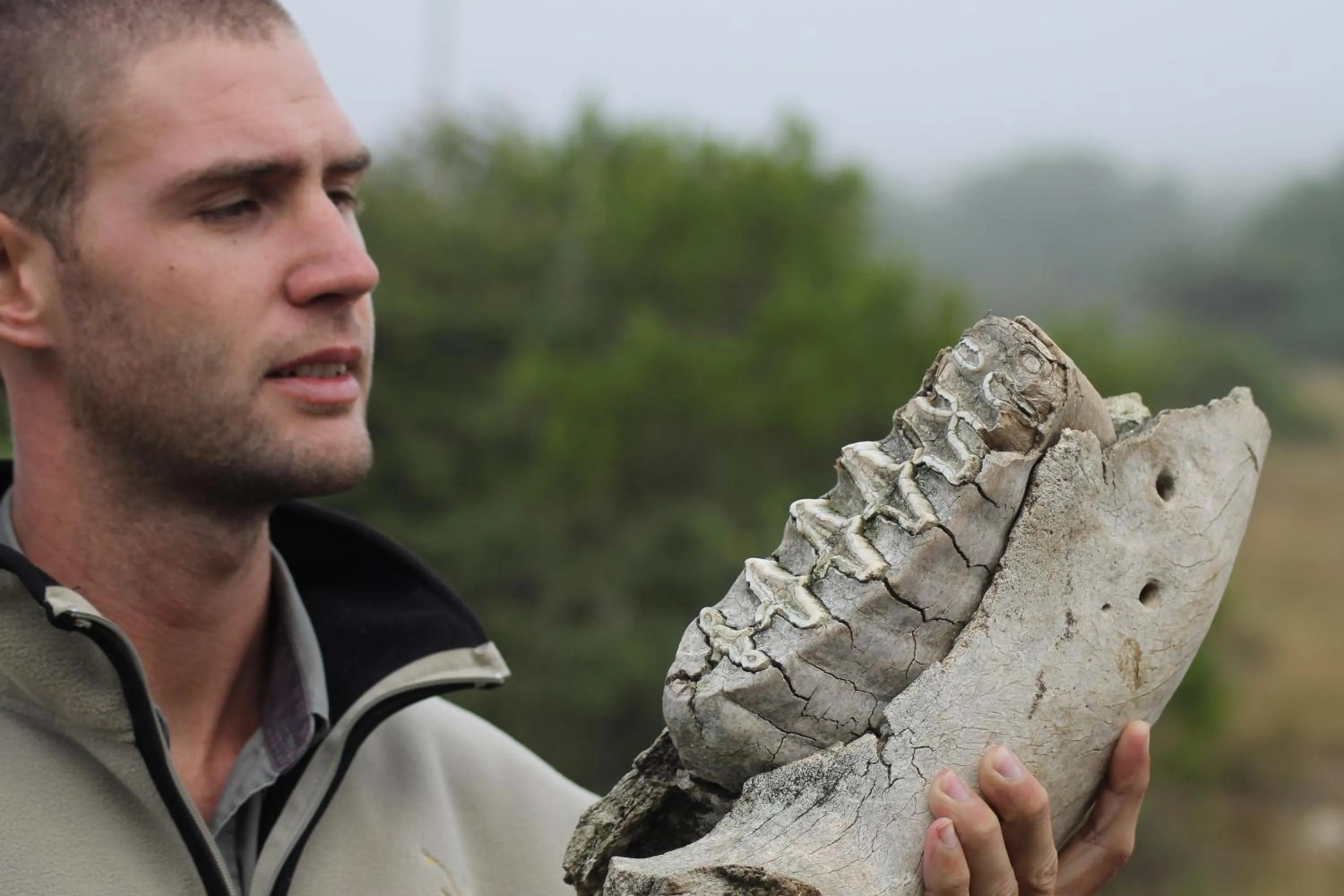 Day in Hlosi Game Lodge - Amakhala Game Reserve