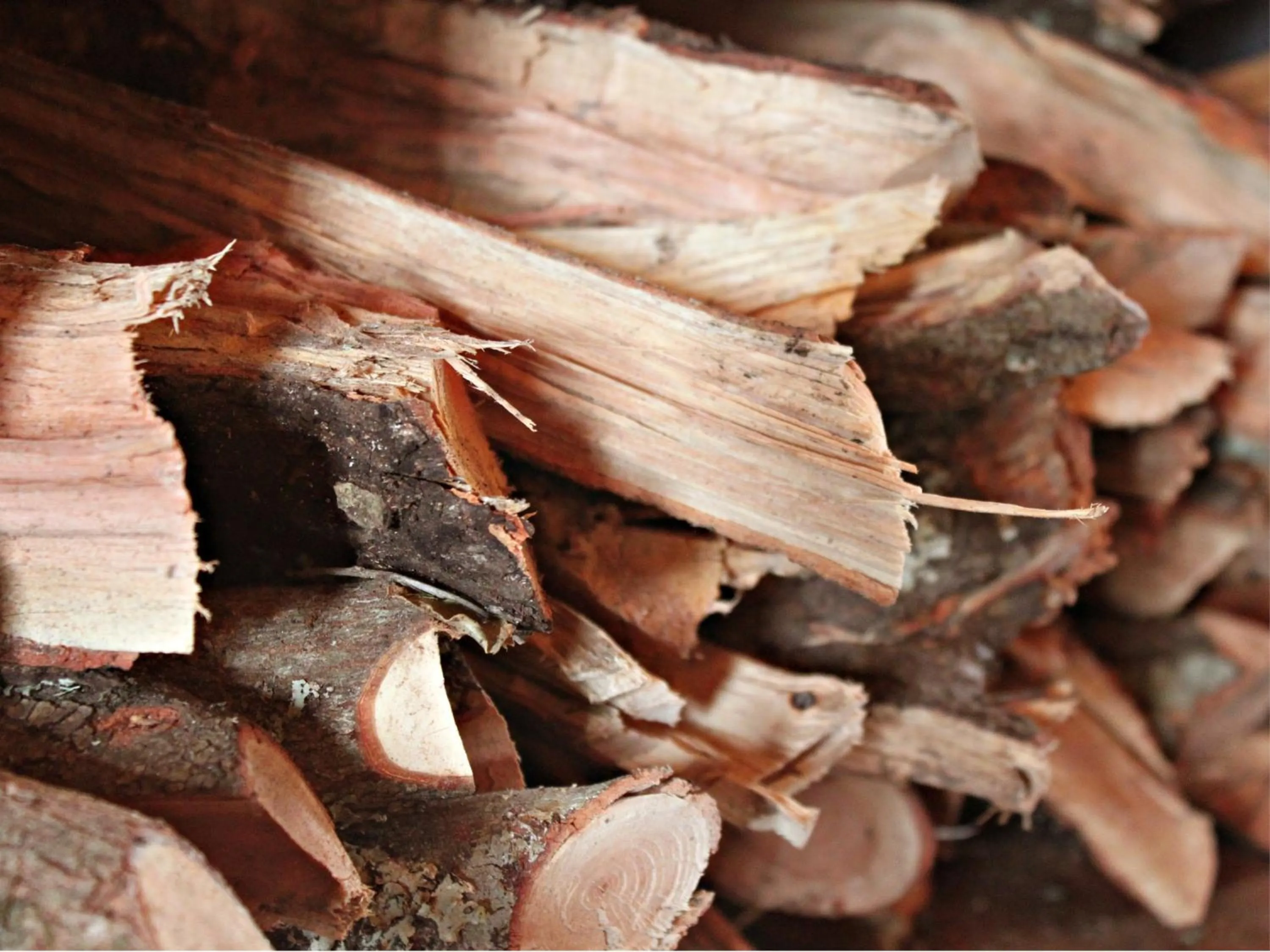 Decorative detail in Hlosi Game Lodge - Amakhala Game Reserve