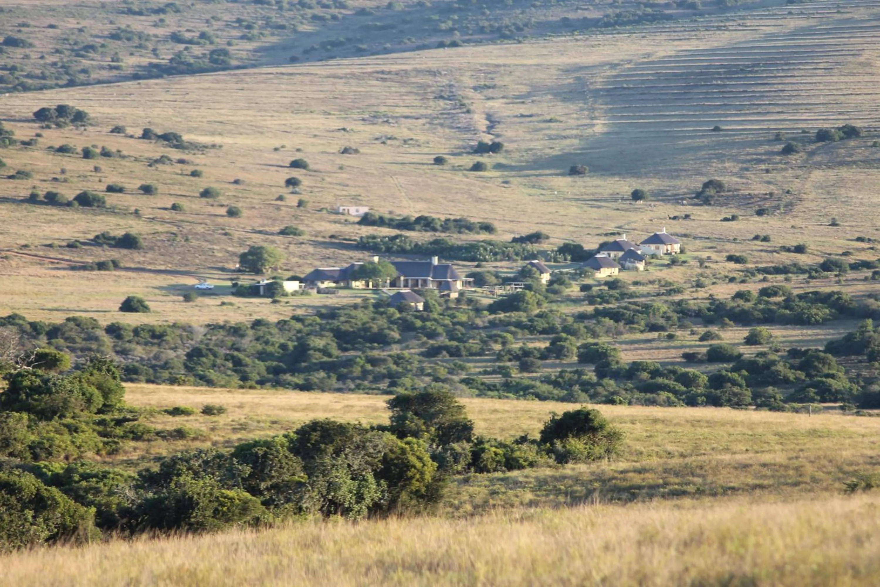 Facade/entrance in Hlosi Game Lodge - Amakhala Game Reserve
