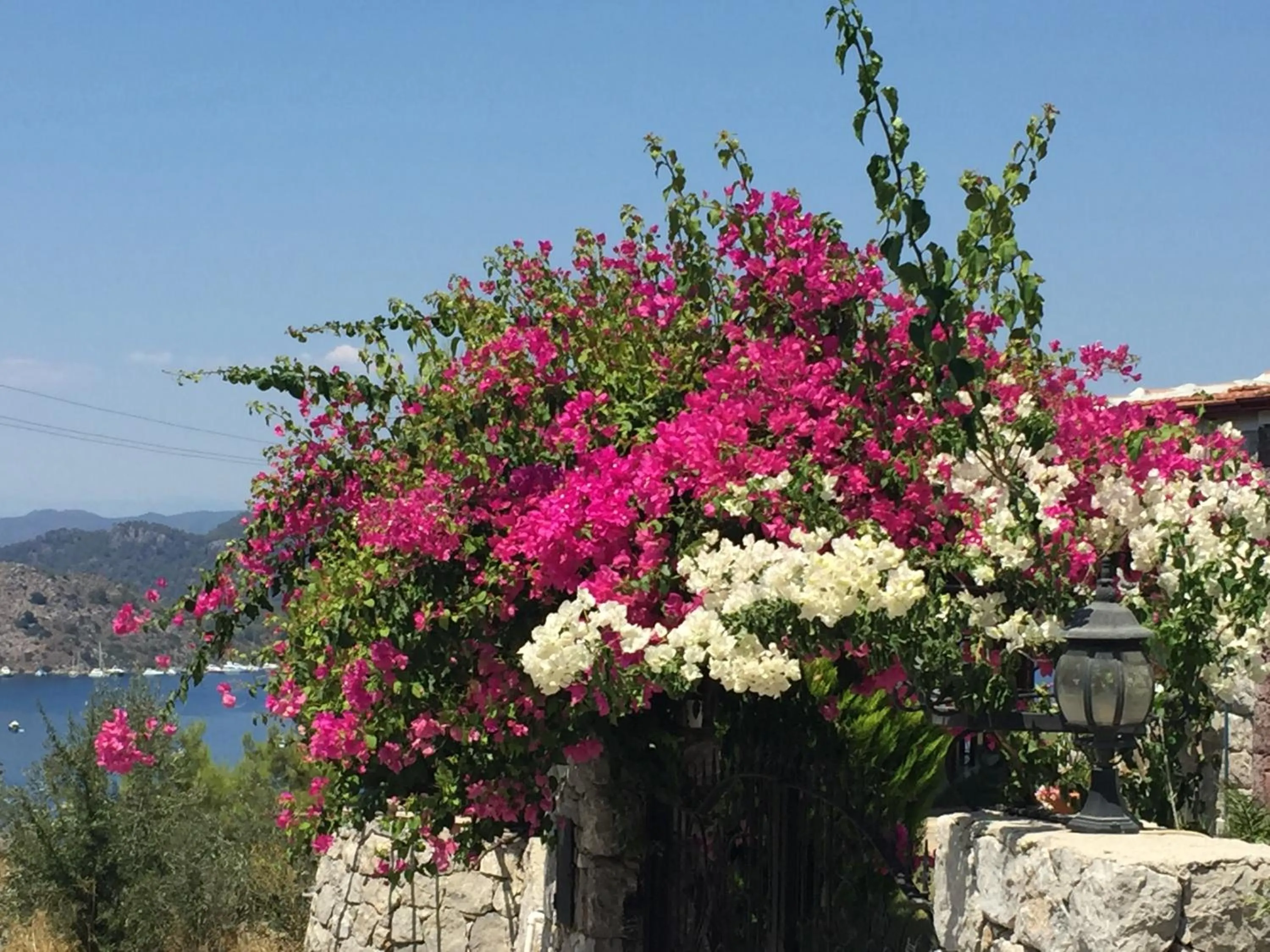Facade/entrance in Harmanyeri Tatilevi