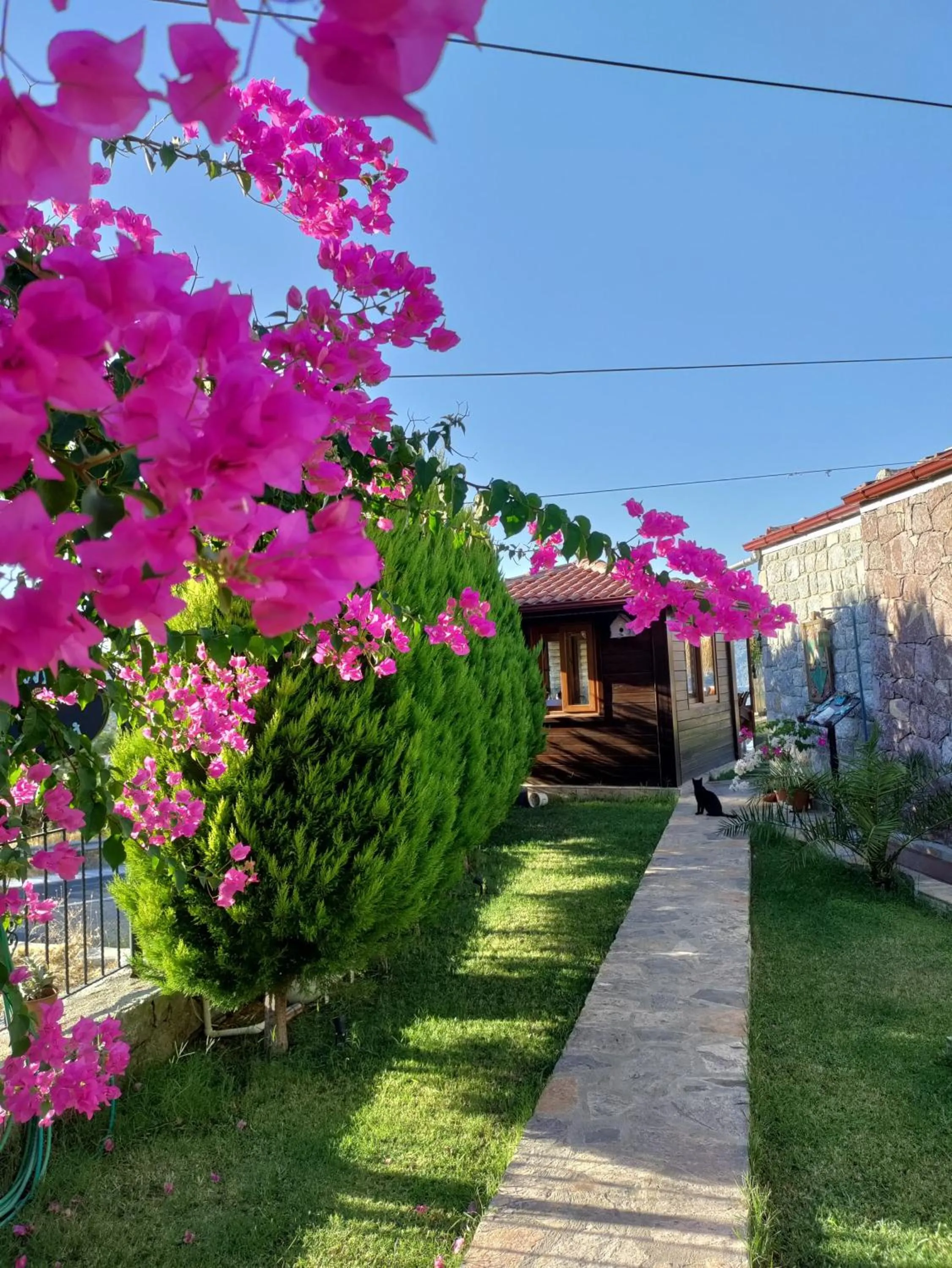 Garden view in Harmanyeri Tatilevi