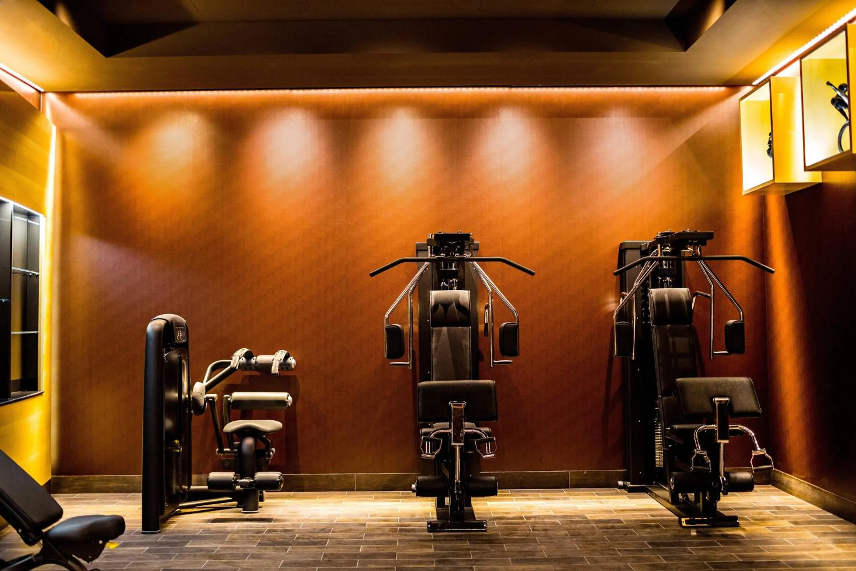 Fitness centre/facilities in Prince de Galles, a Luxury Collection hotel, Paris
