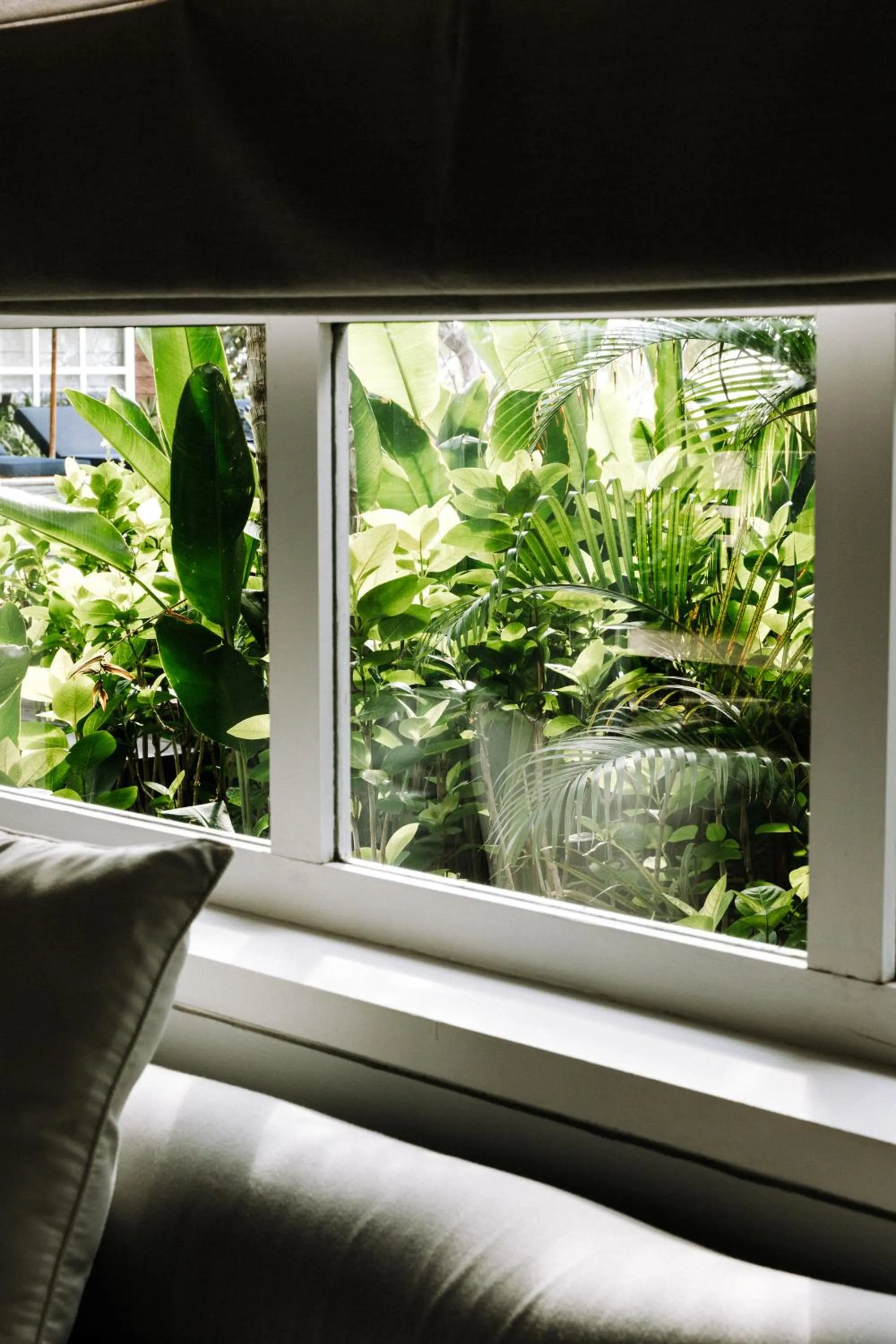 Garden view in Meno House - Boutique Adults Only Resort