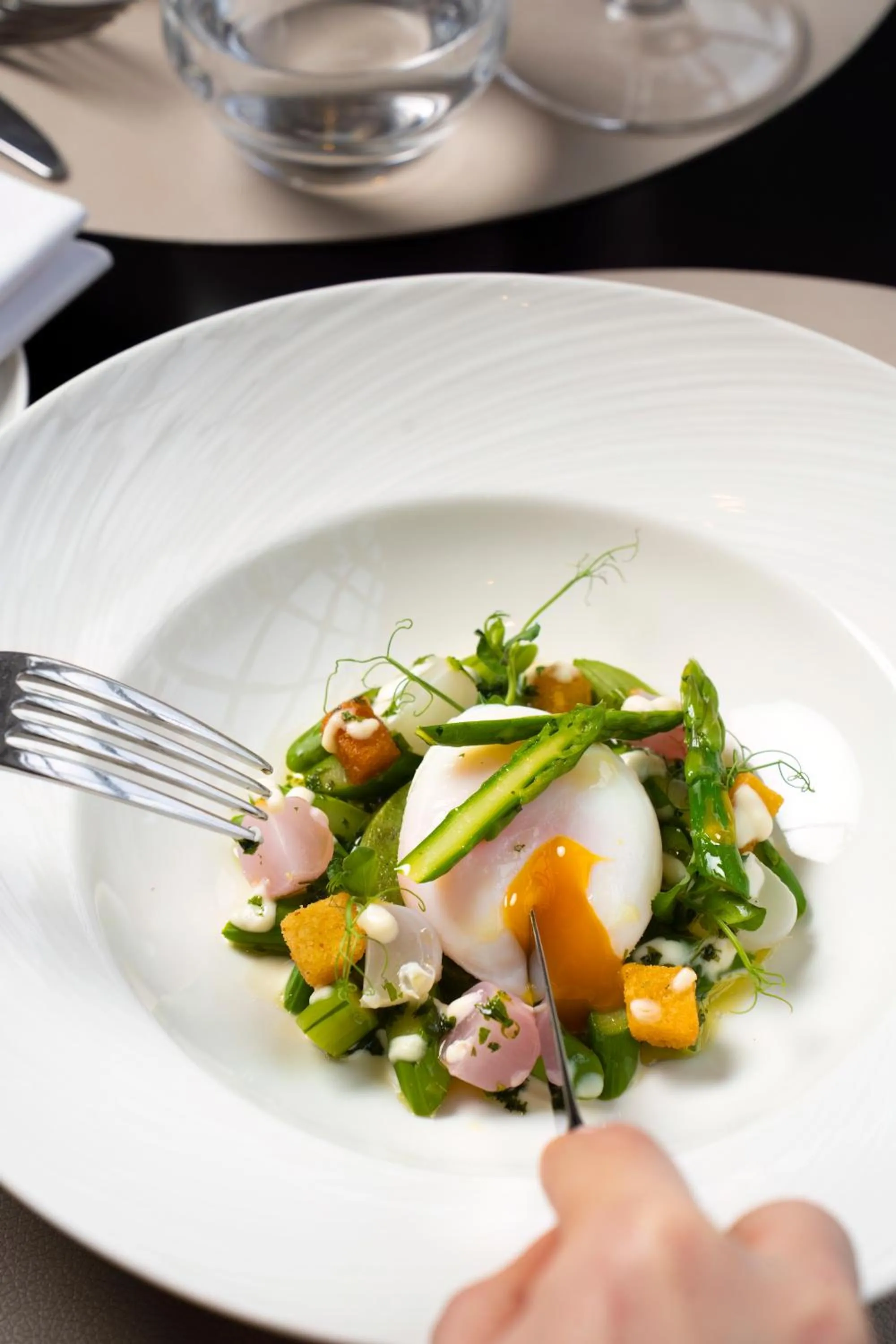 Restaurant/places to eat in Waldorf Astoria Versailles - Trianon Palace