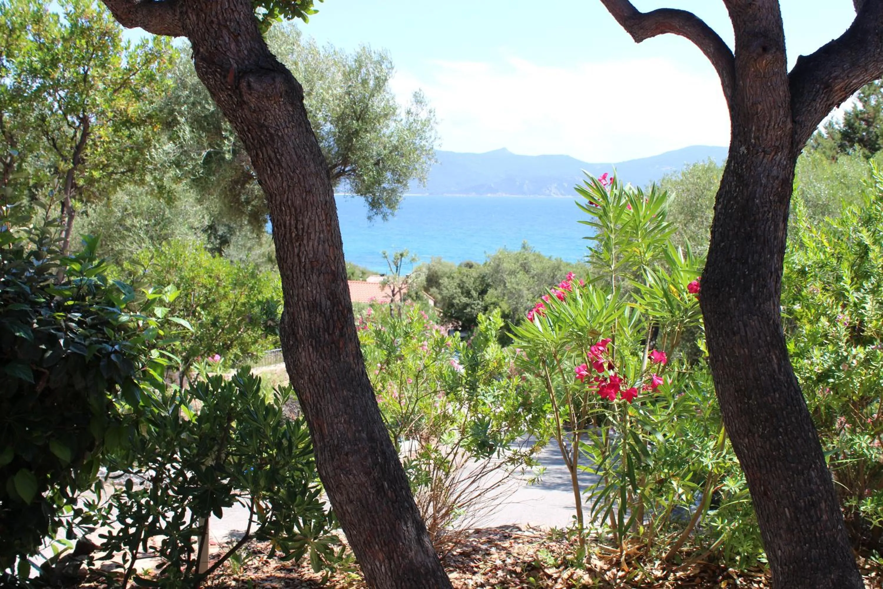 Garden in Résidence Arco Plage