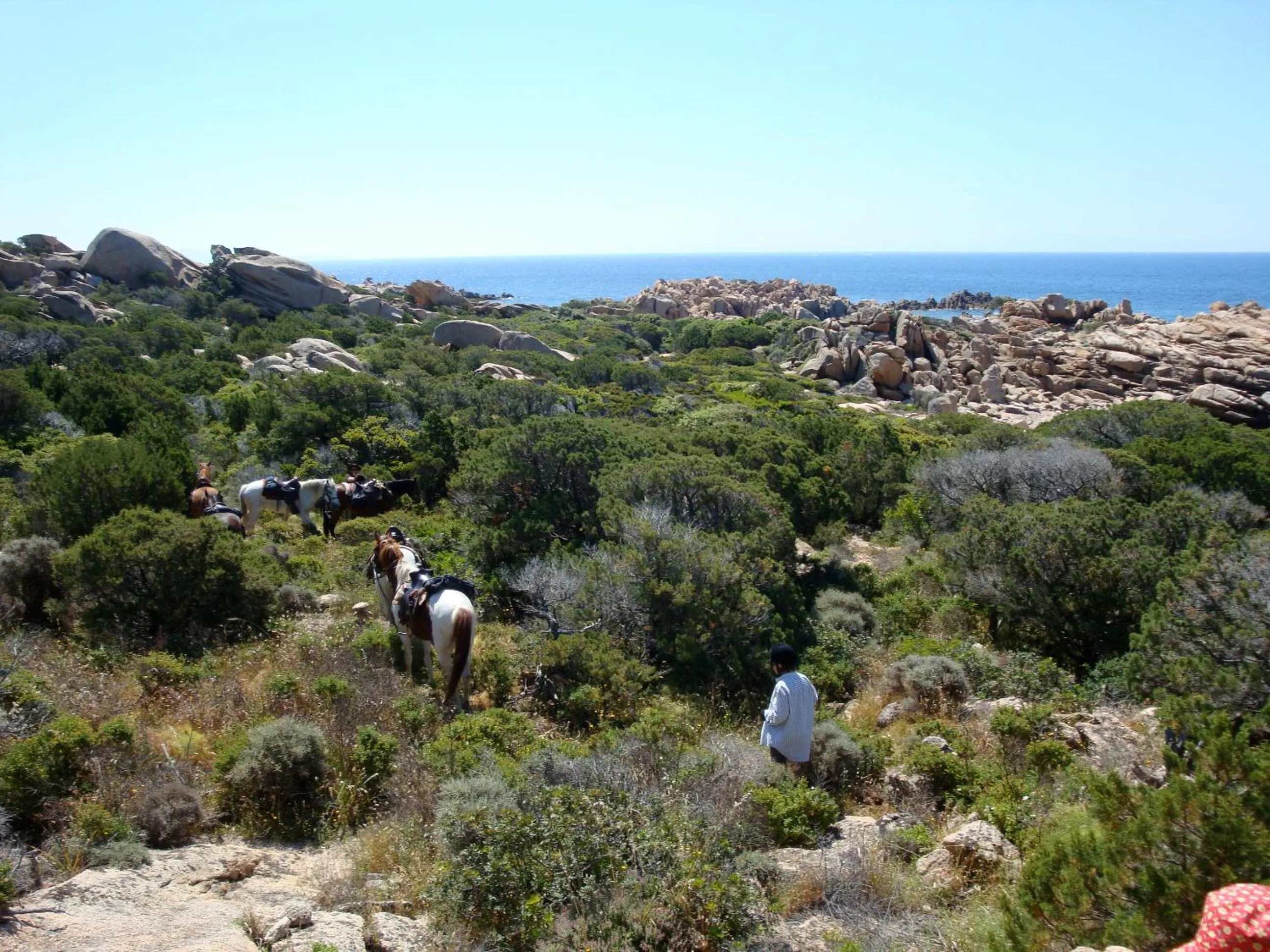 Horse-riding in Résidence Arco Plage