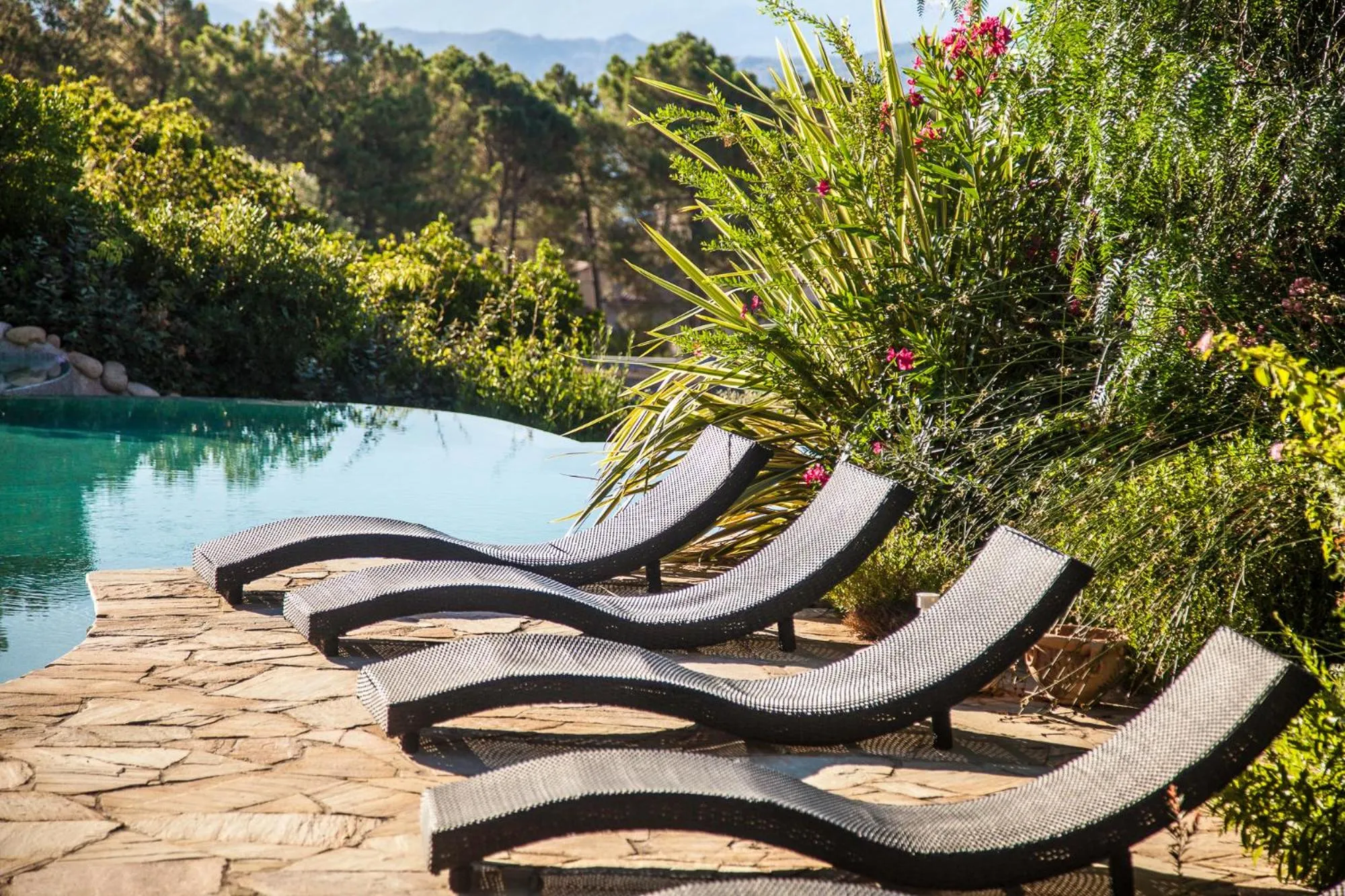 Summer in Résidence Arco Plage