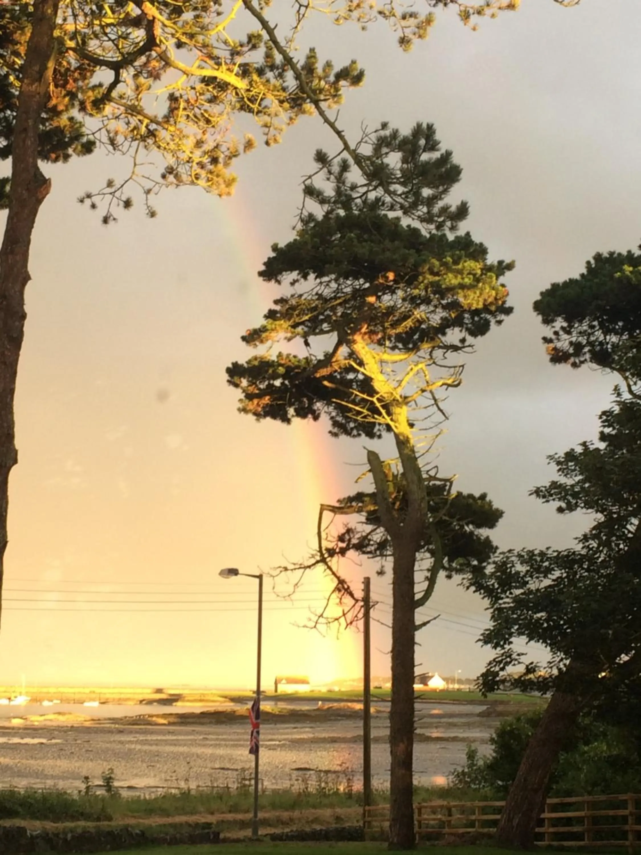 View (from property/room) in The Old Vicarage NI B&B