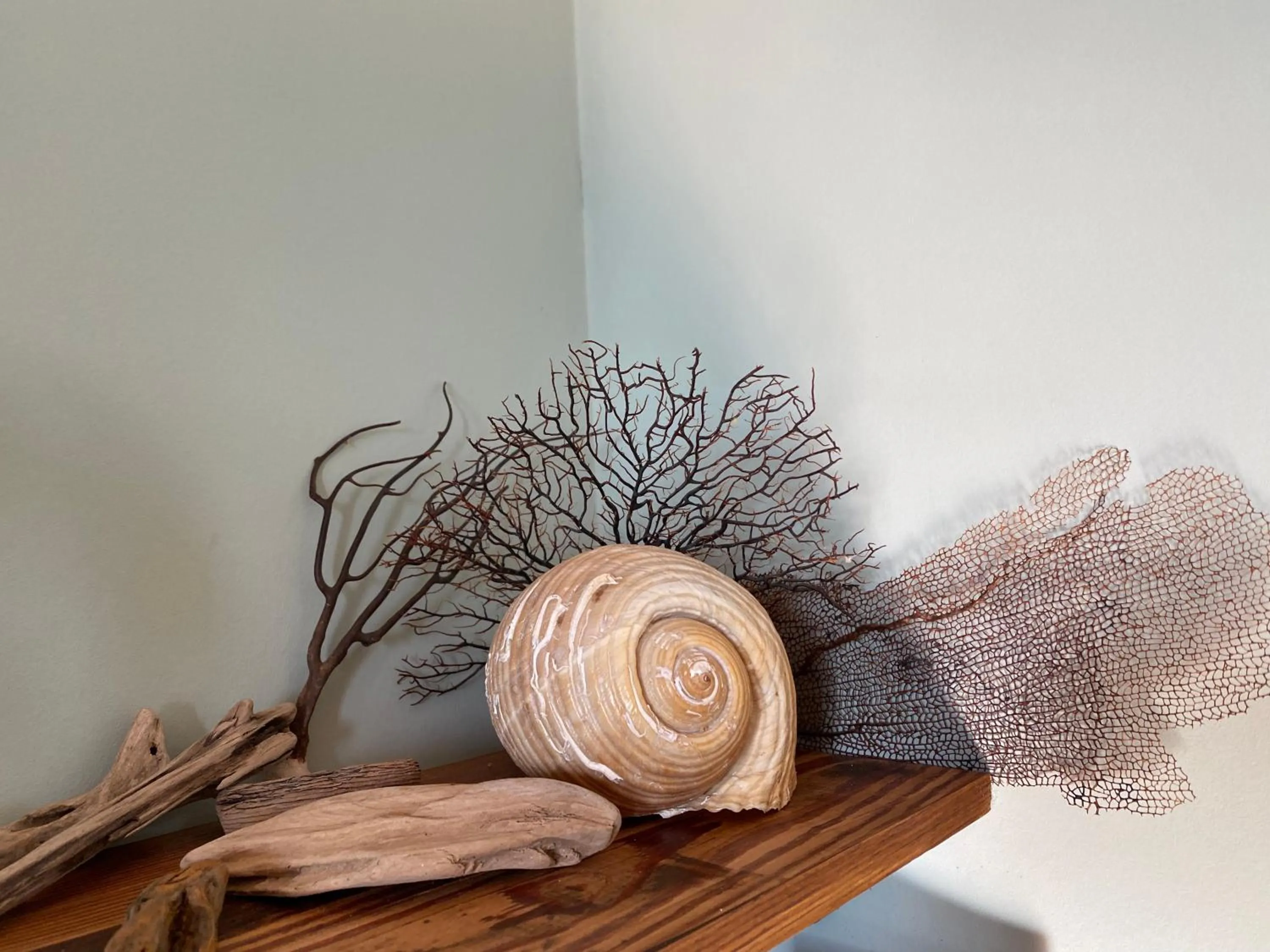 Decorative detail in The Old Vicarage NI B&B