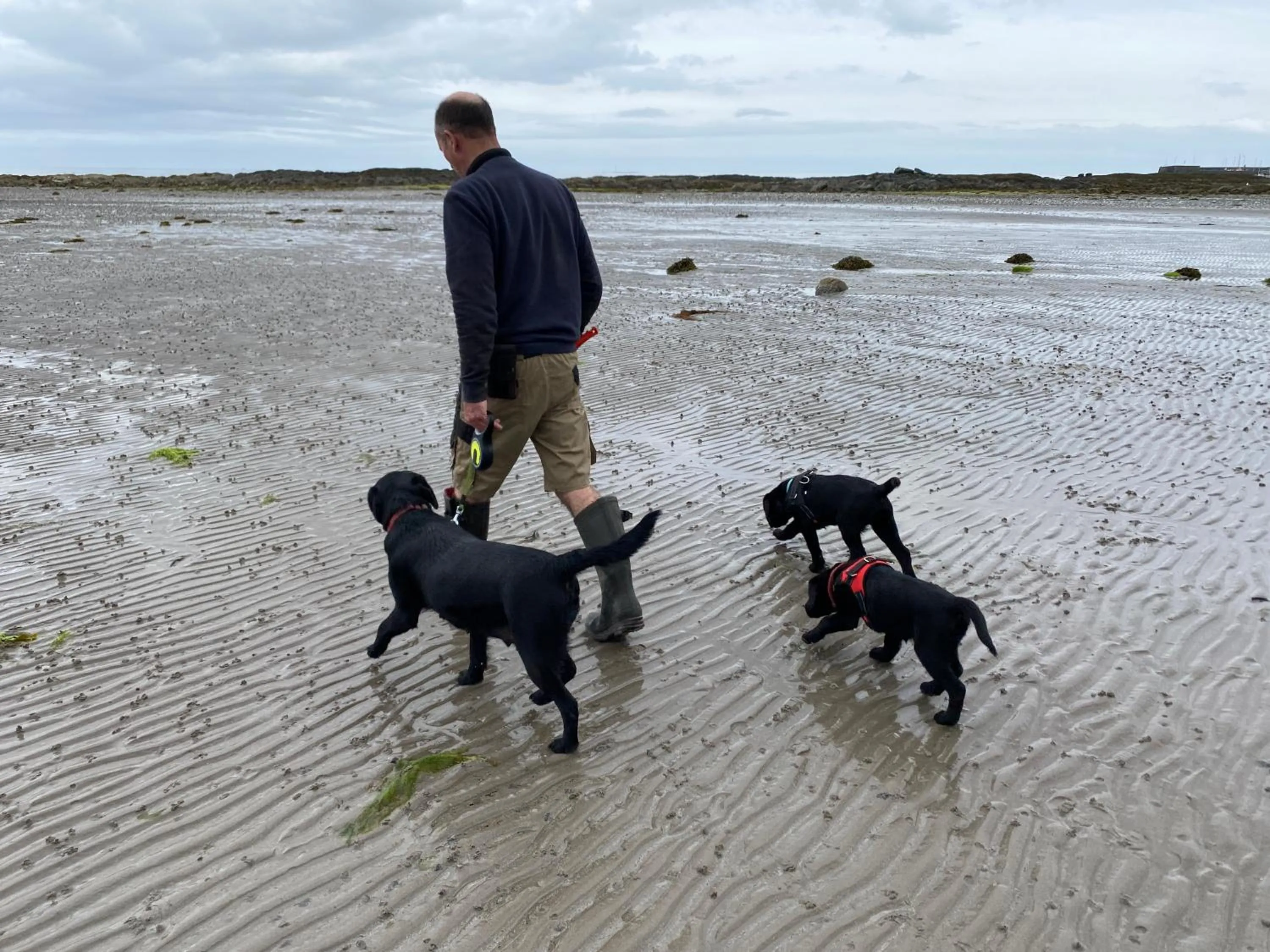 Beach in The Old Vicarage NI B&B