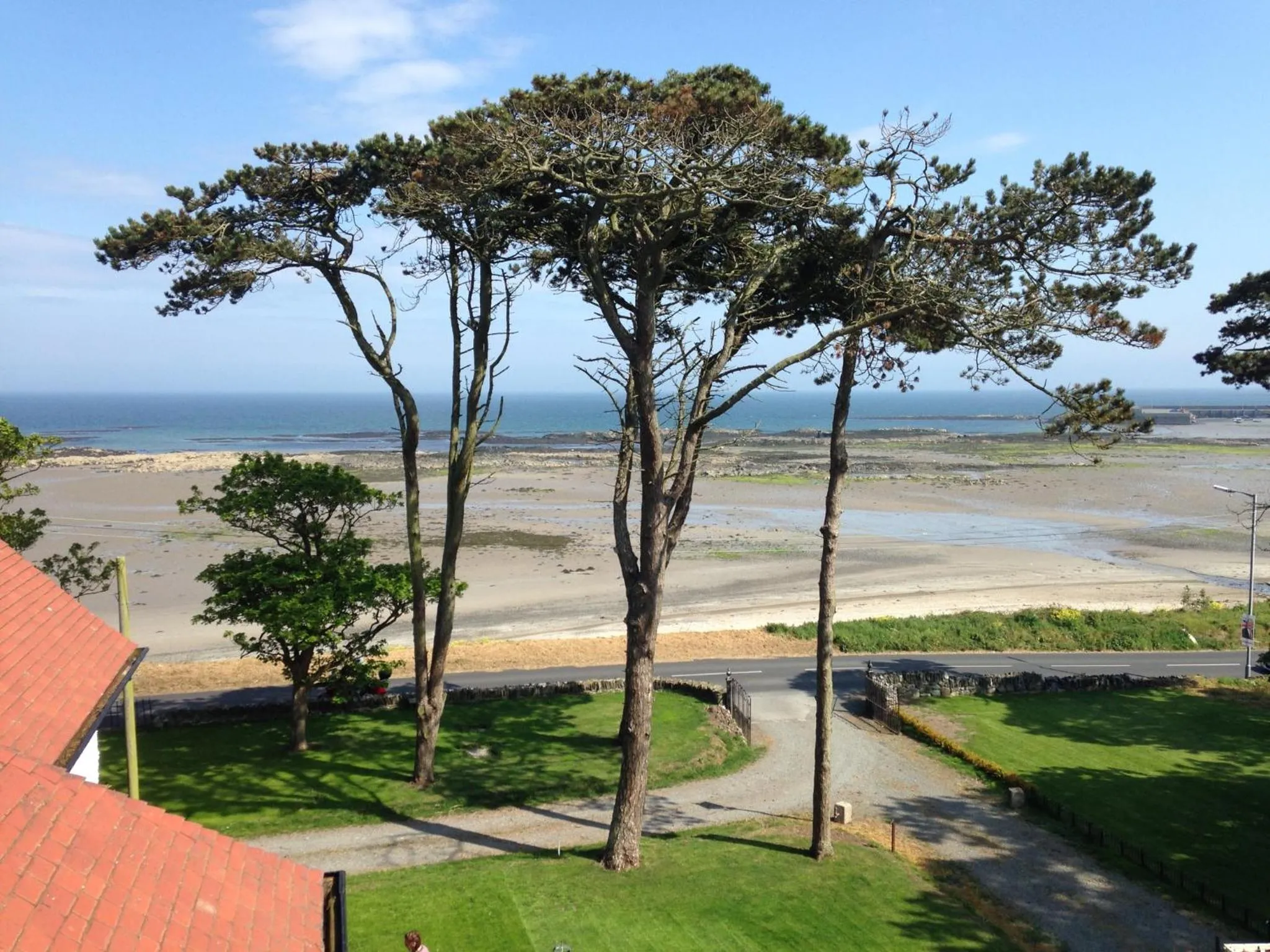 Garden in The Old Vicarage NI B&B