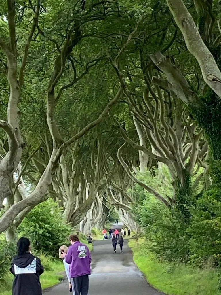 People in The Old Vicarage NI B&B