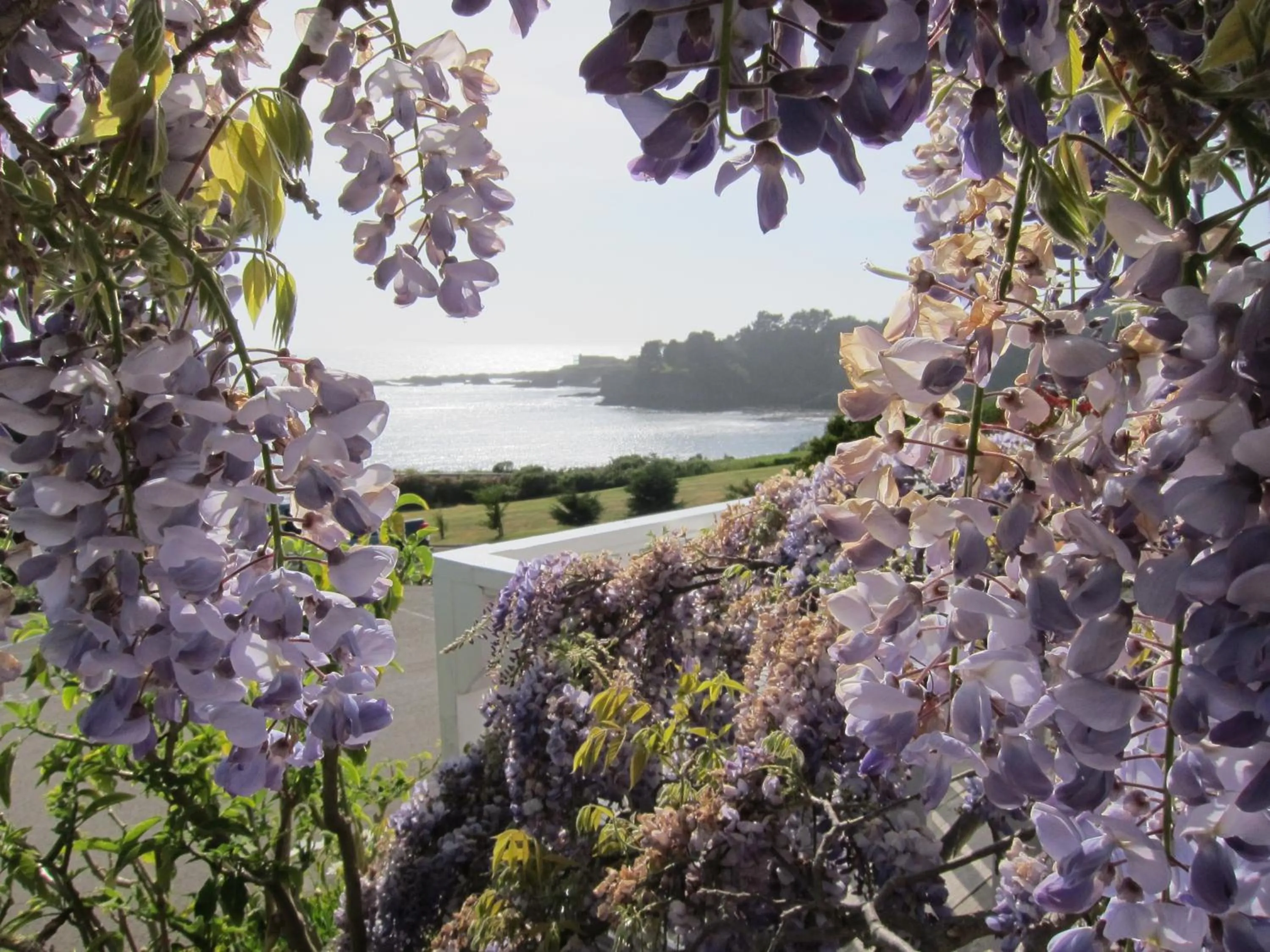 Garden in Little River Inn