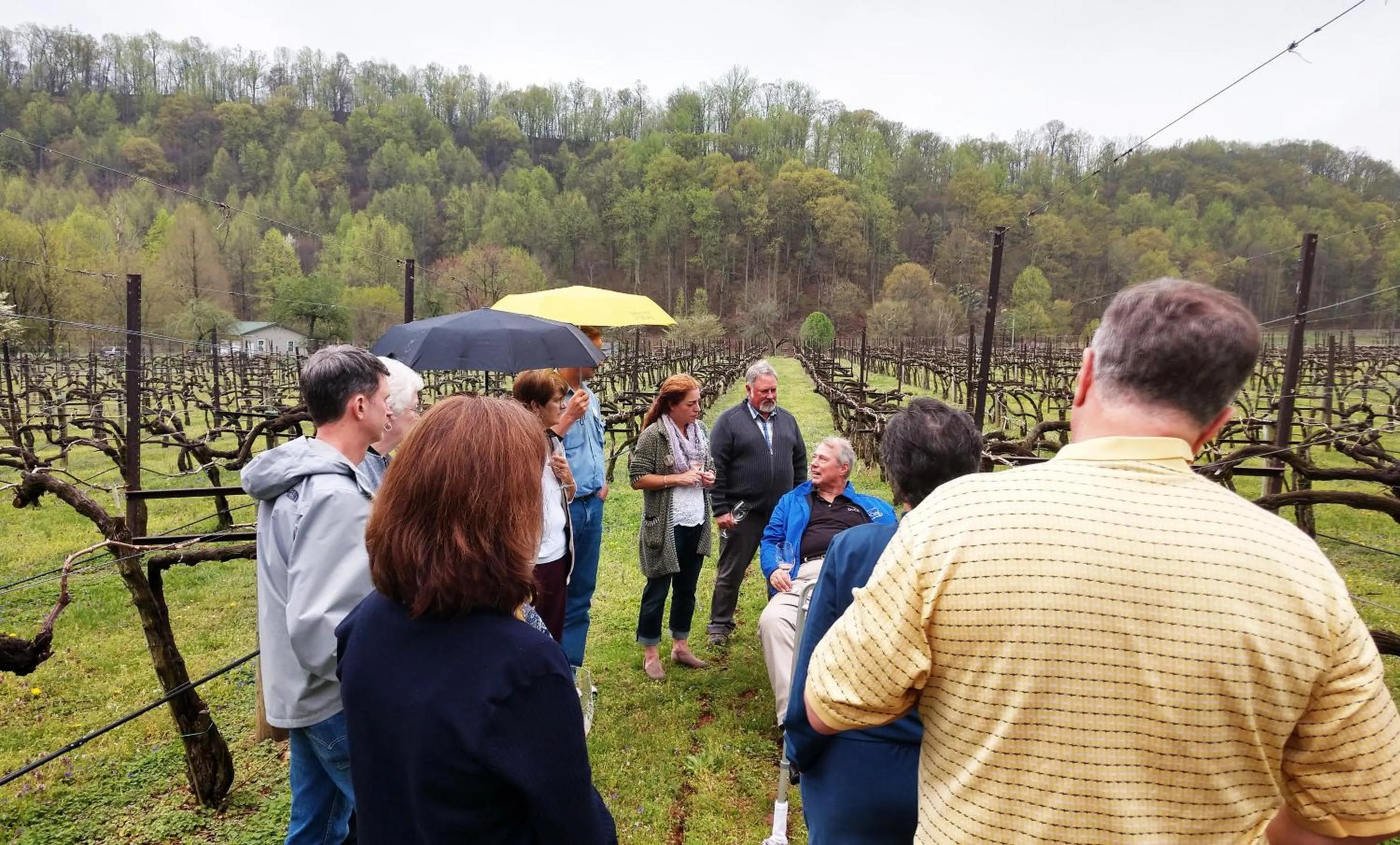 Graves Mountain Farm & Lodges