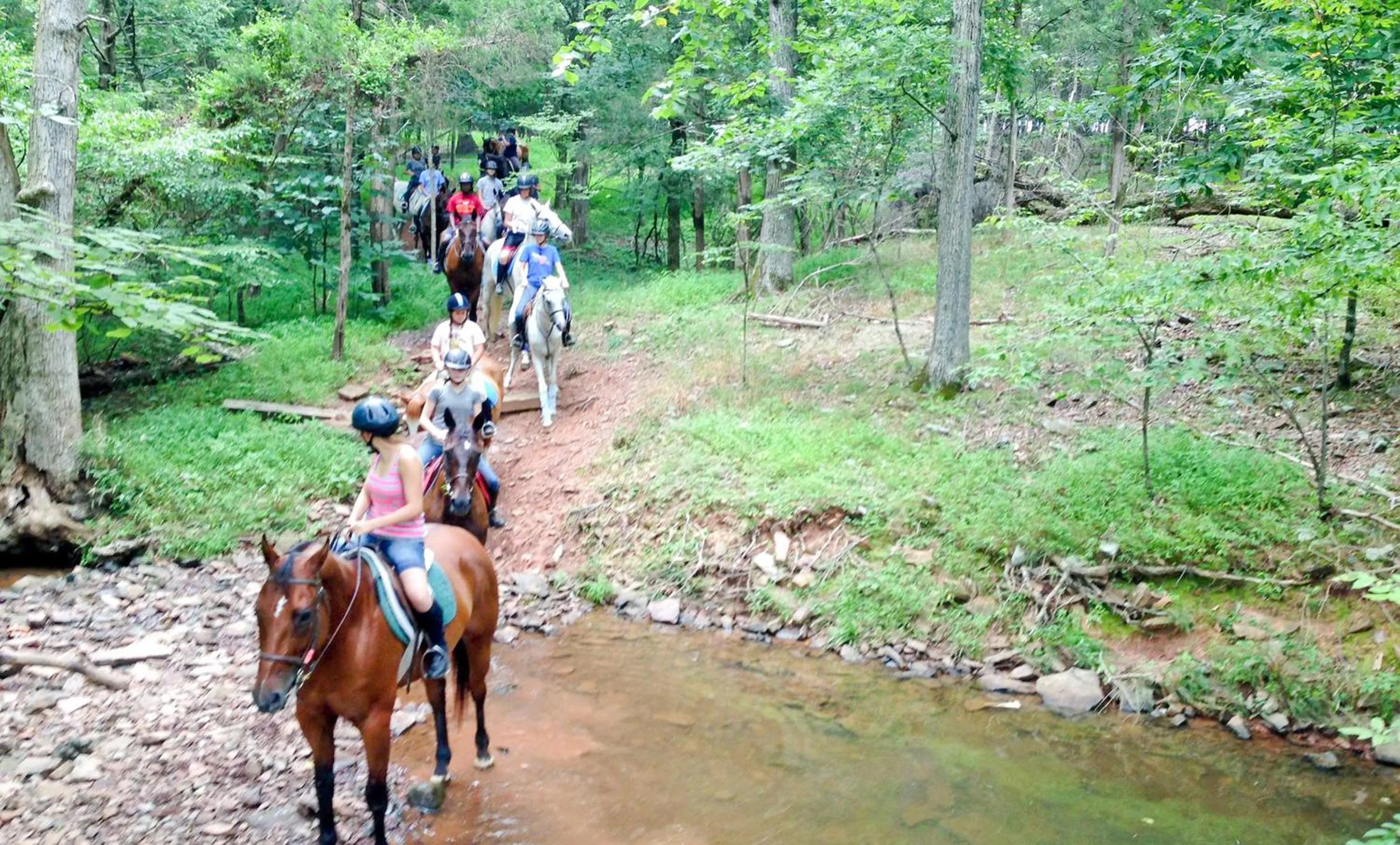 Horse-riding in Graves Mountain Farm & Lodges