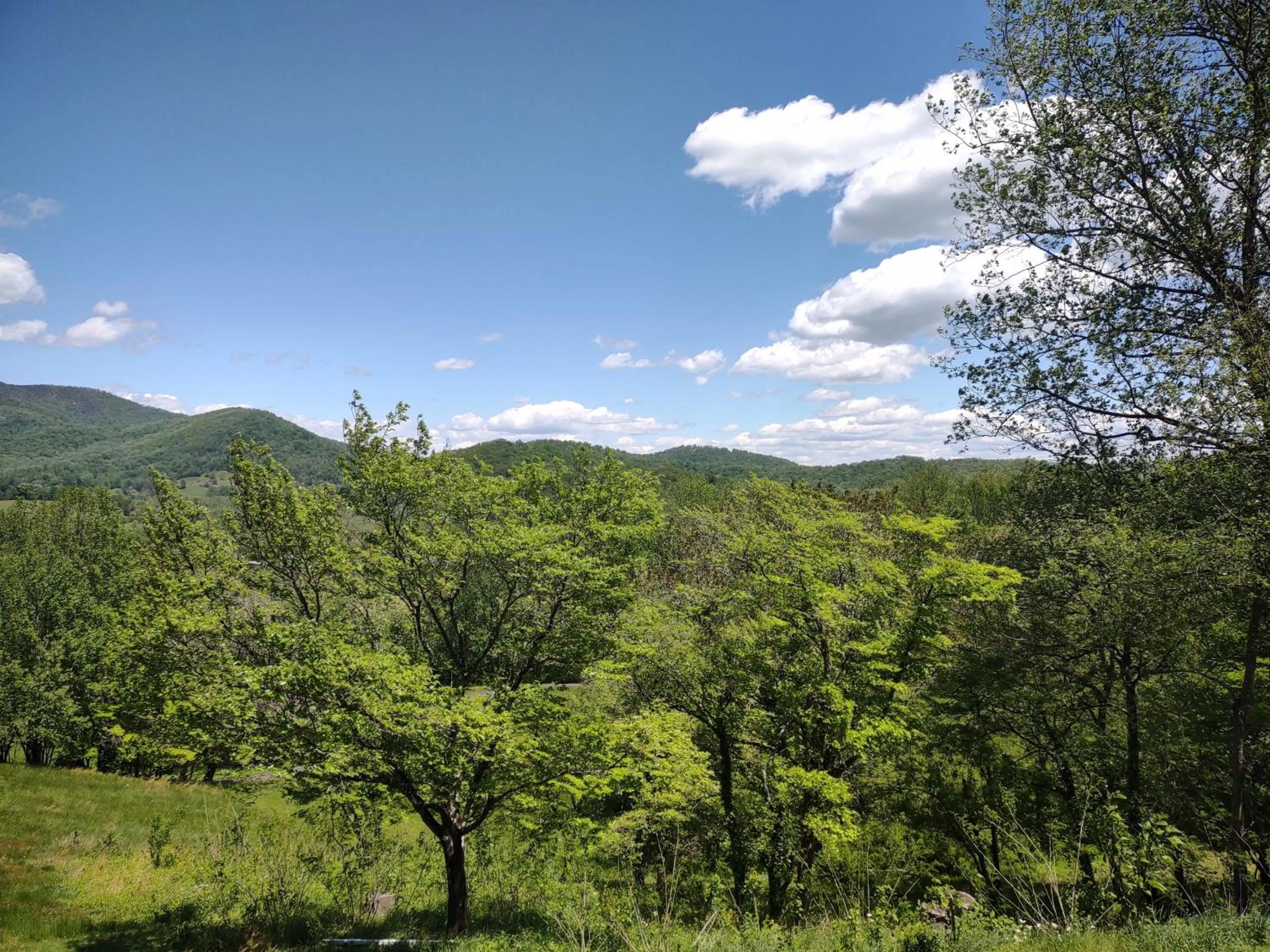 Graves Mountain Farm & Lodges