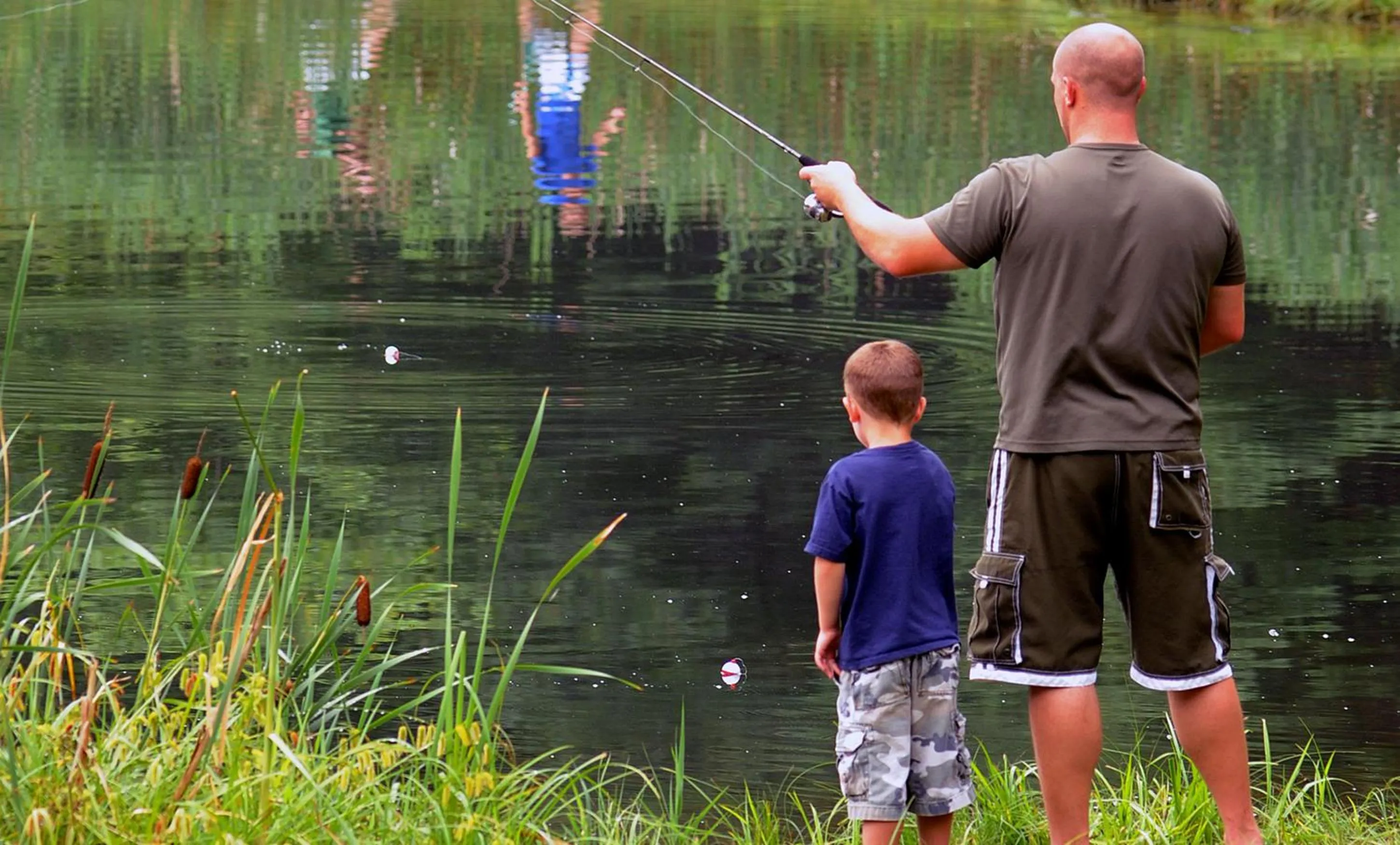 Graves Mountain Farm & Lodges