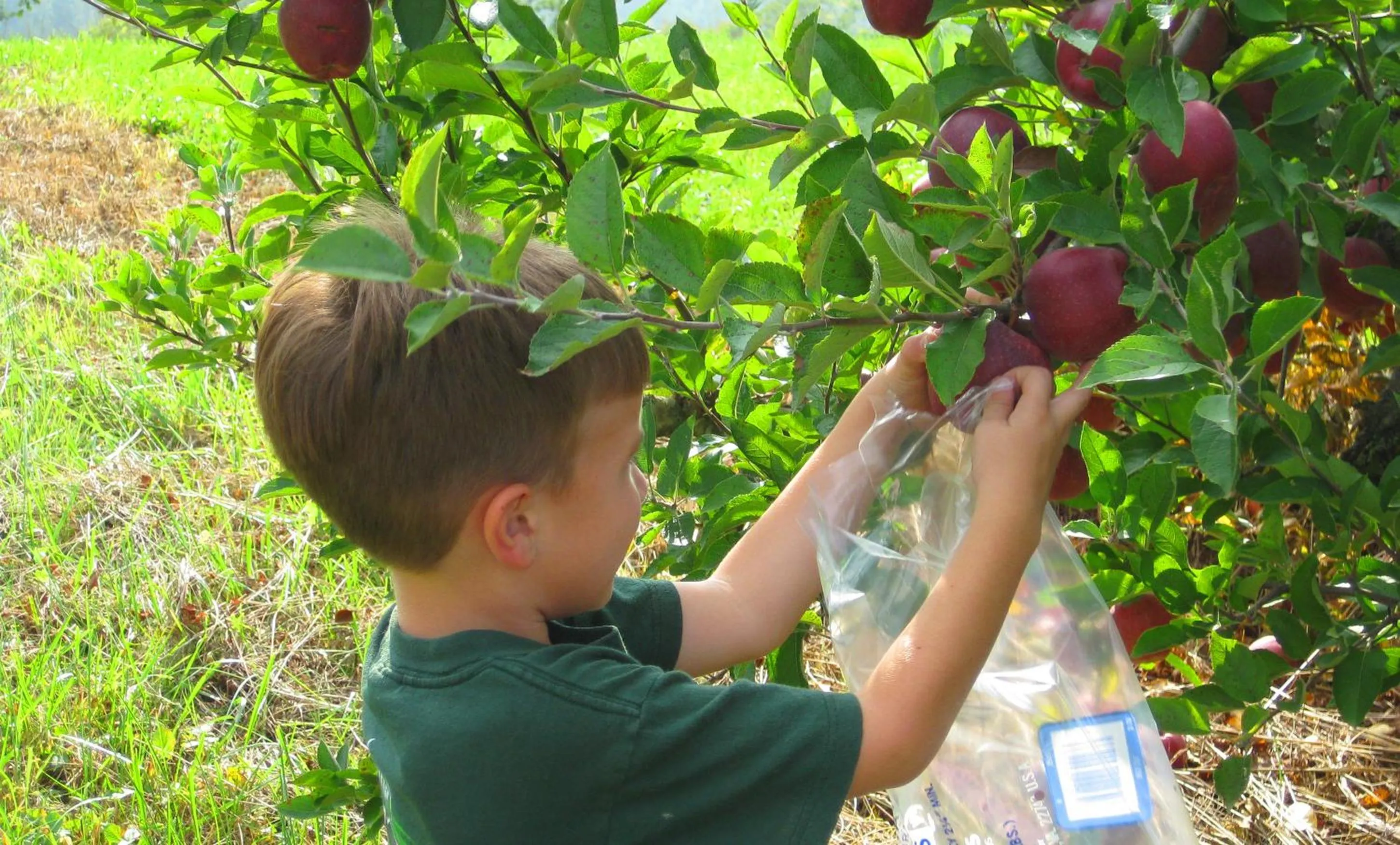 children in Graves Mountain Farm & Lodges