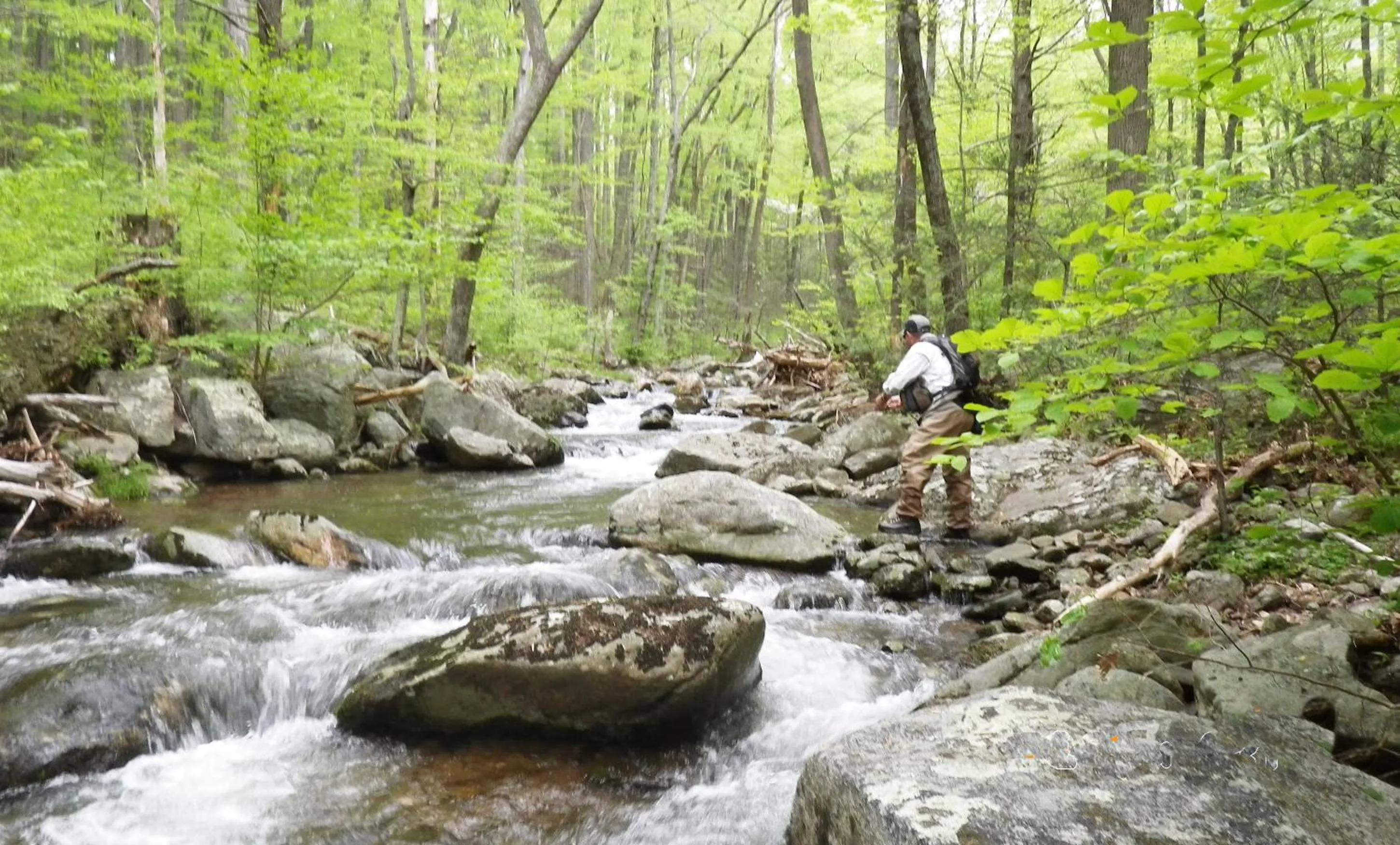 Natural landscape in Graves Mountain Farm & Lodges