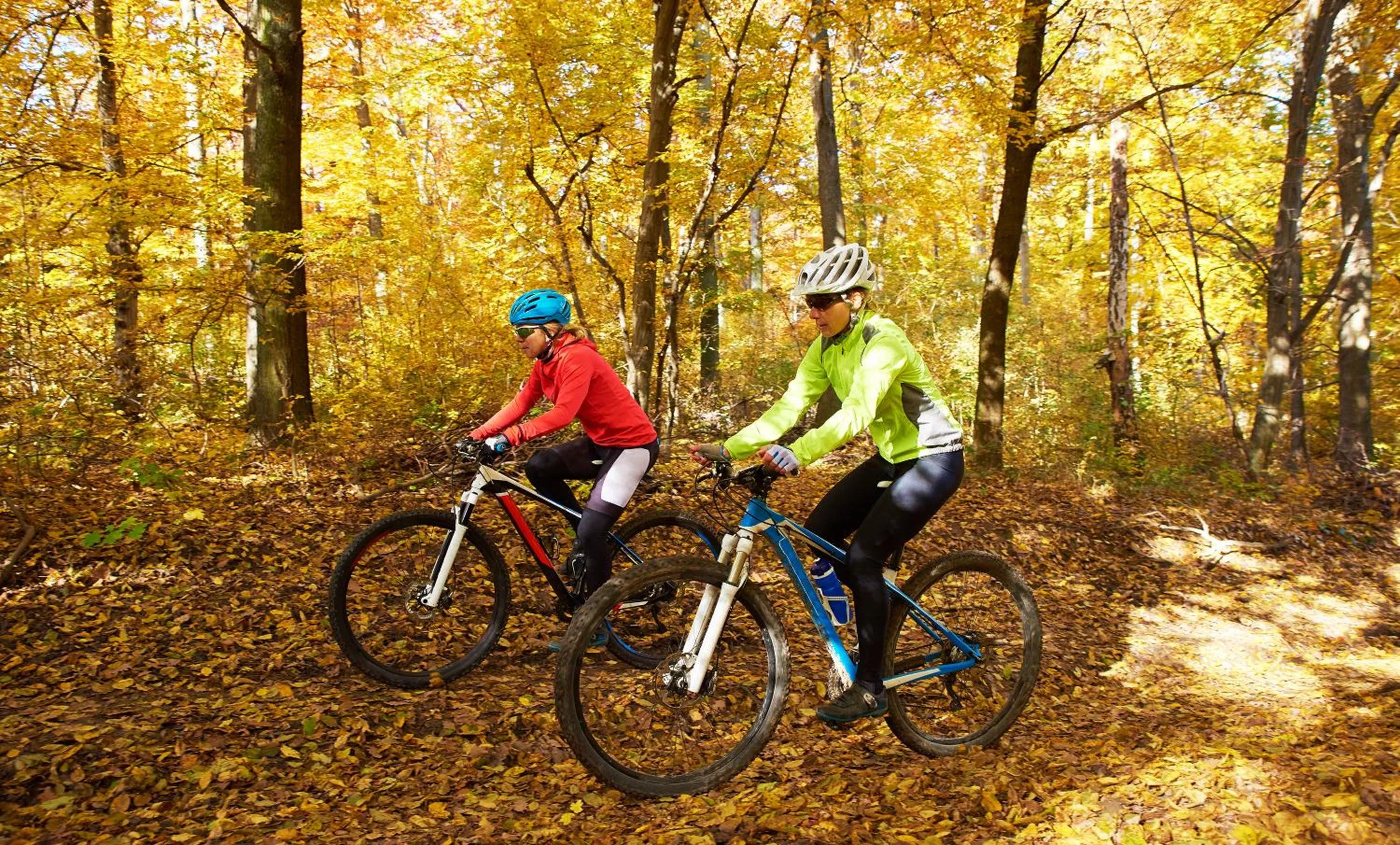 Cycling in Graves Mountain Farm & Lodges