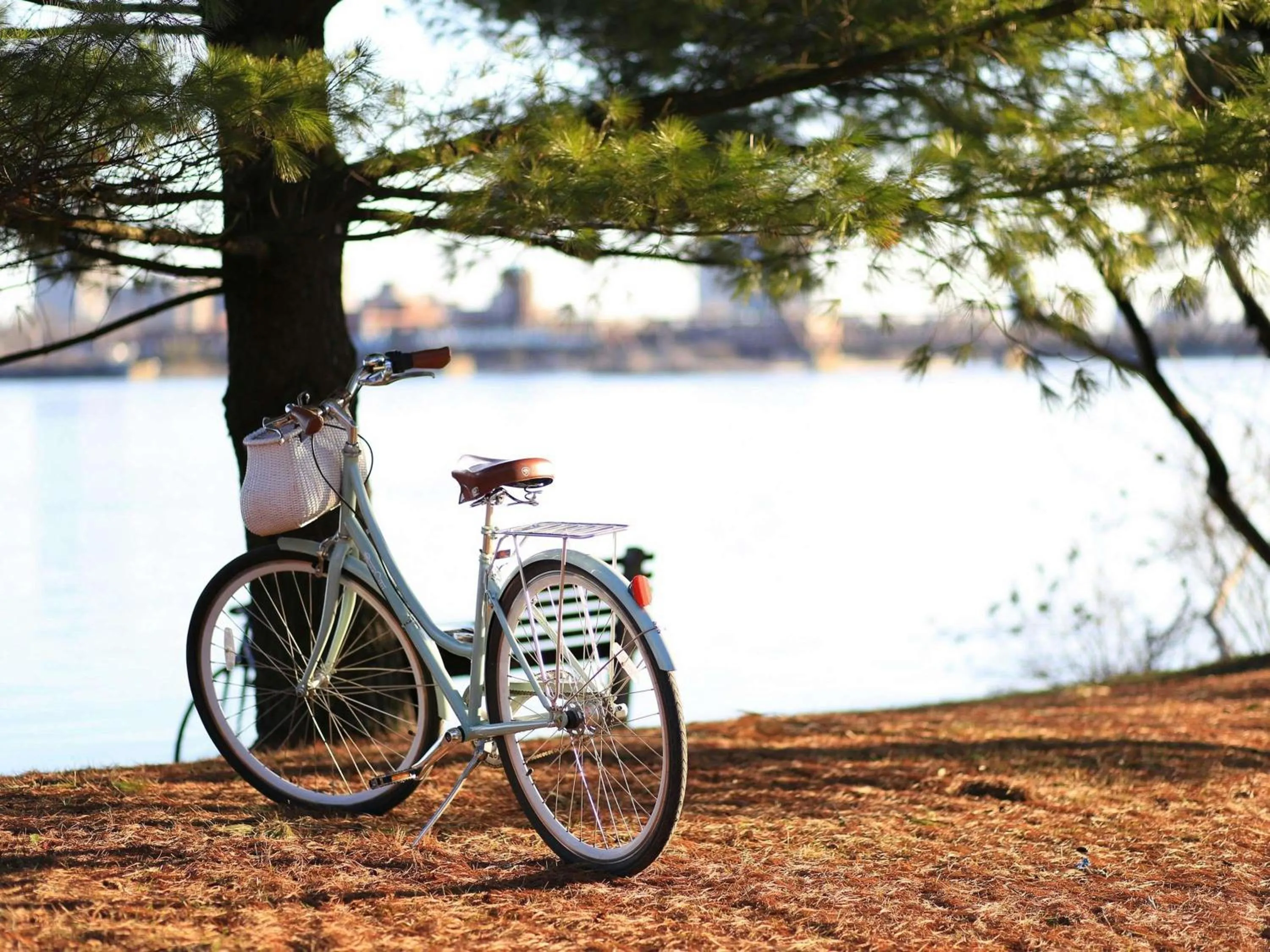 Other in Parc Beaumont Hôtel & Spa Pau - MGallery Collection