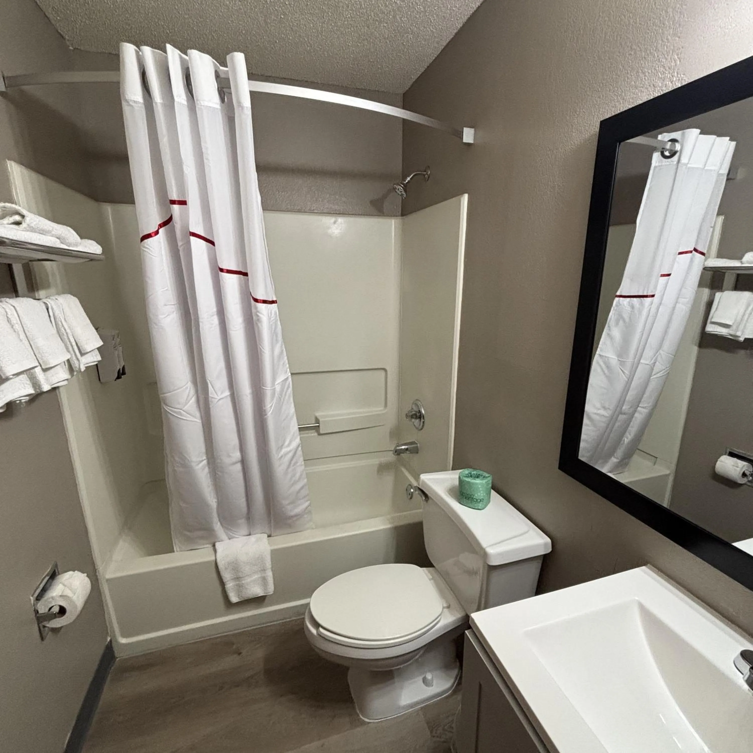 Bathroom in Red Roof Inn & Suites Hammond, IN
