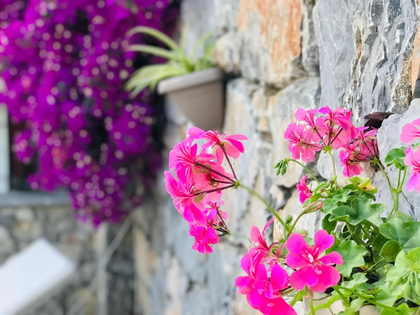 Nehir Dalyan Boutique Otel