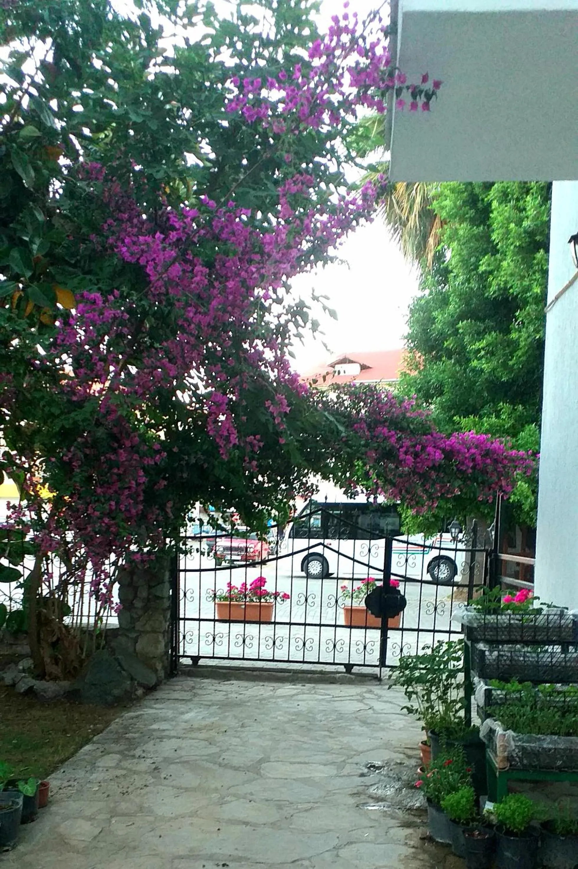 Garden in Nehir Dalyan Boutique Otel