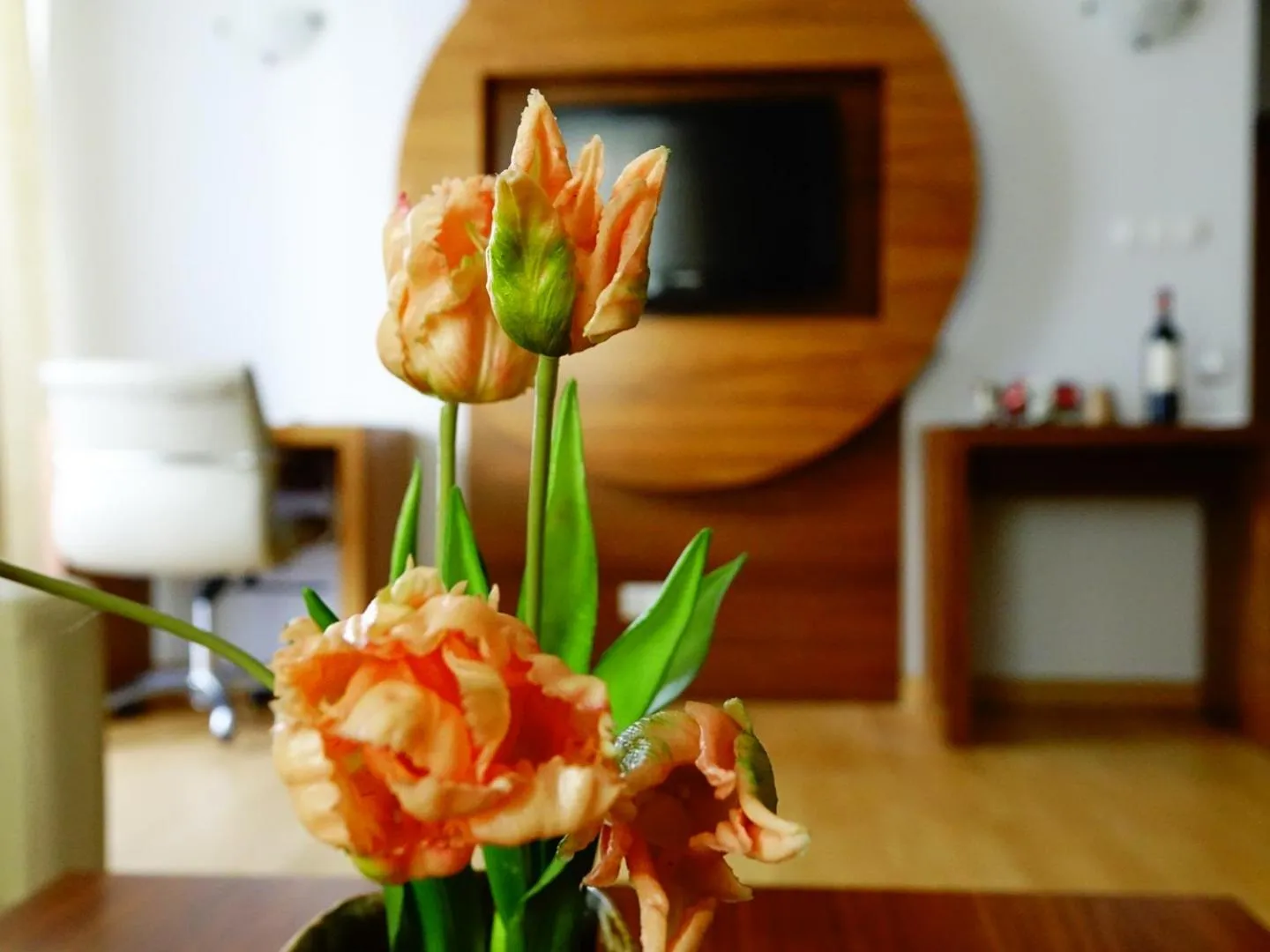 TV and multimedia in Platinum Ostróda