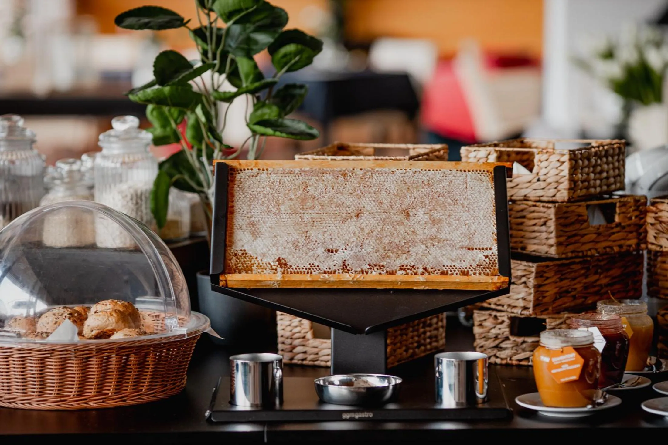 Coffee/tea facilities in Platinum Ostróda