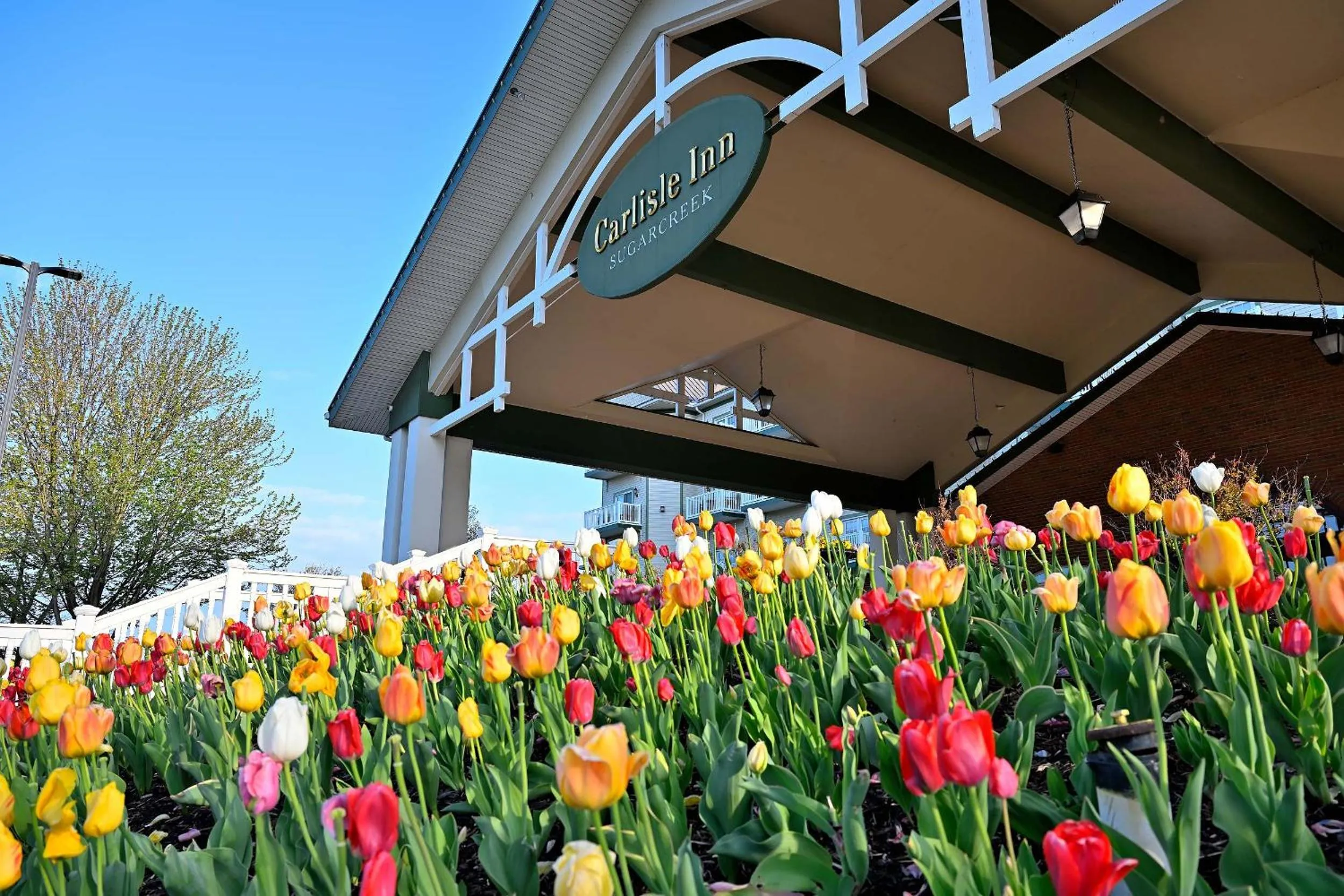 Spring in Carlisle Inn