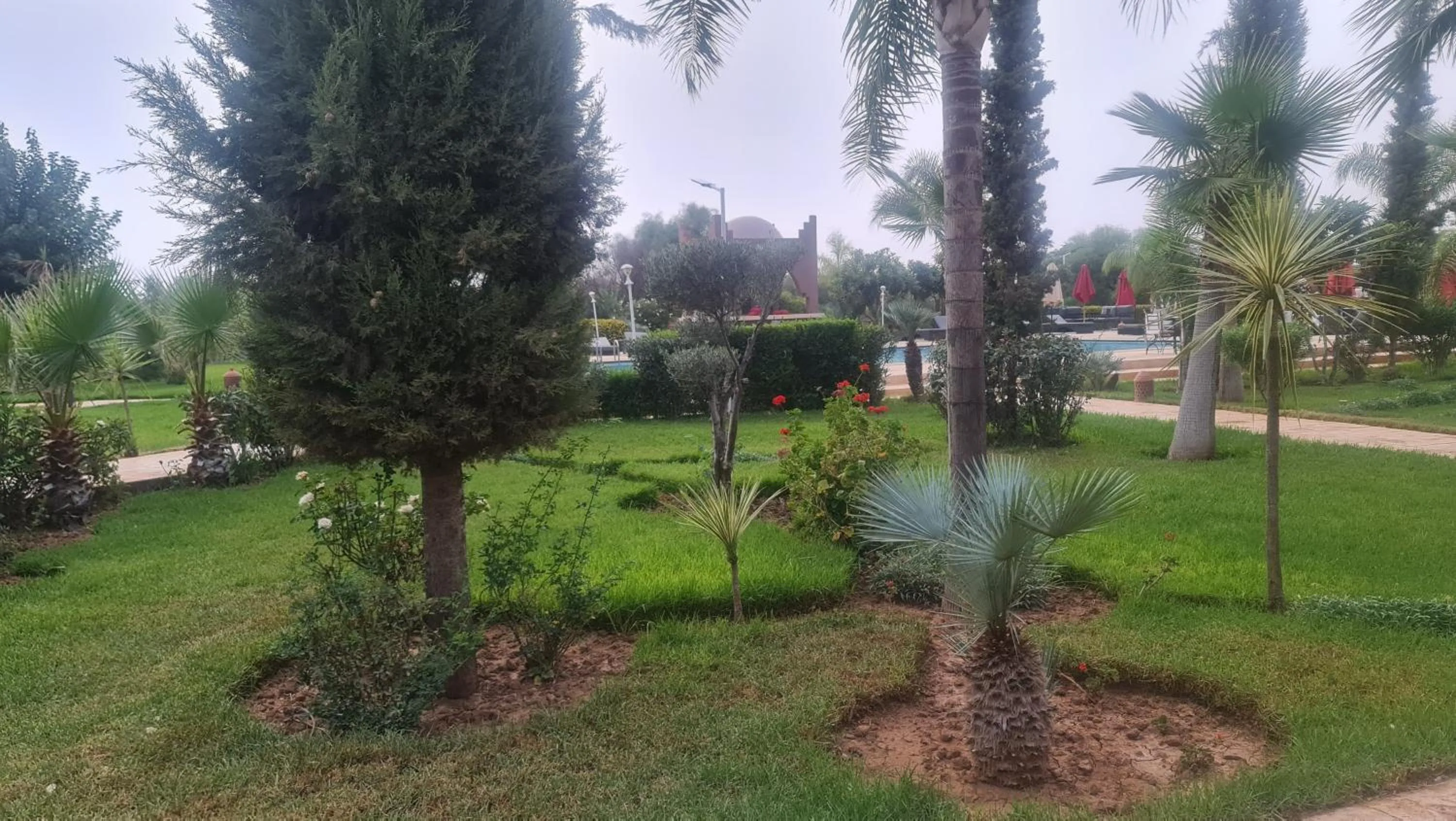 Swimming pool in Taj Atlas Wellness Boutique Hôtel & Spa