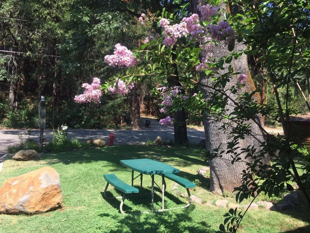 Patio in Dunsmuir Lodge