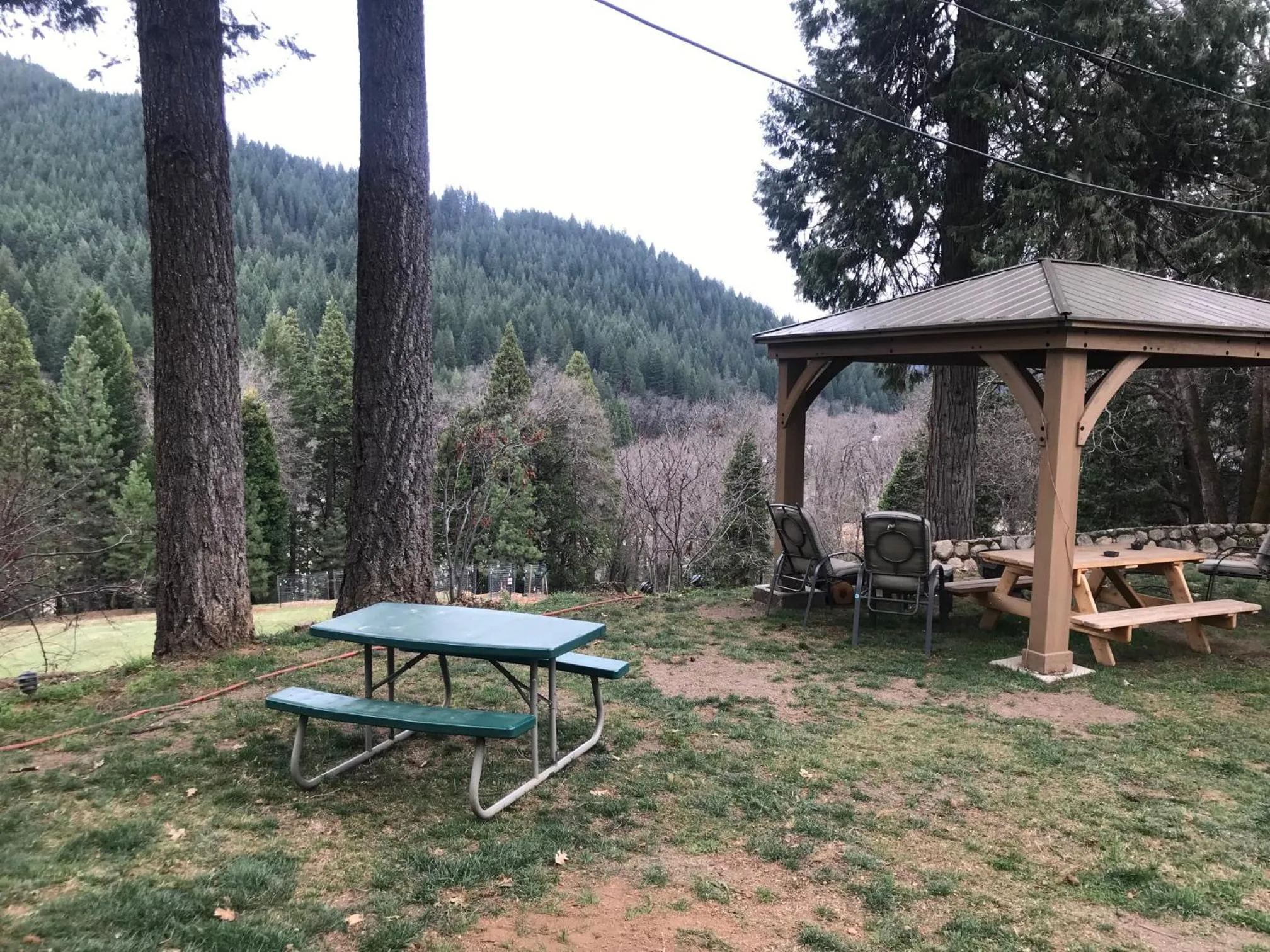 Natural landscape in Dunsmuir Lodge