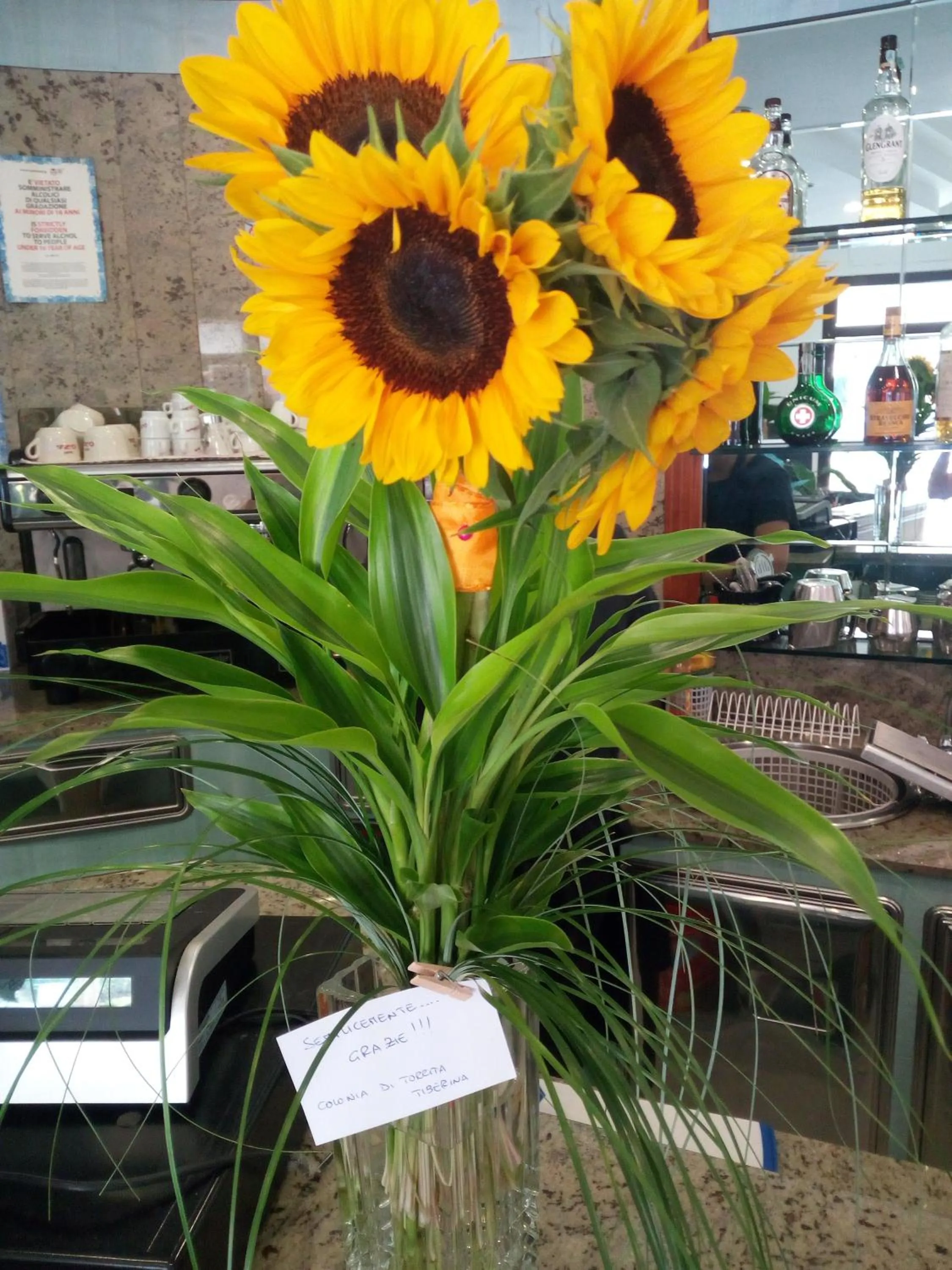 Lobby or reception in HOTEL OTELLO