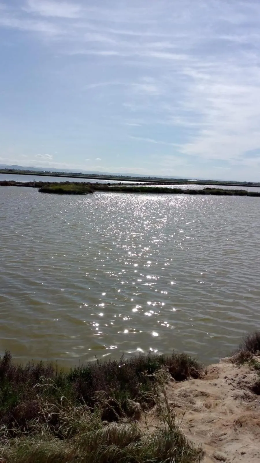 Natural landscape in HOTEL OTELLO