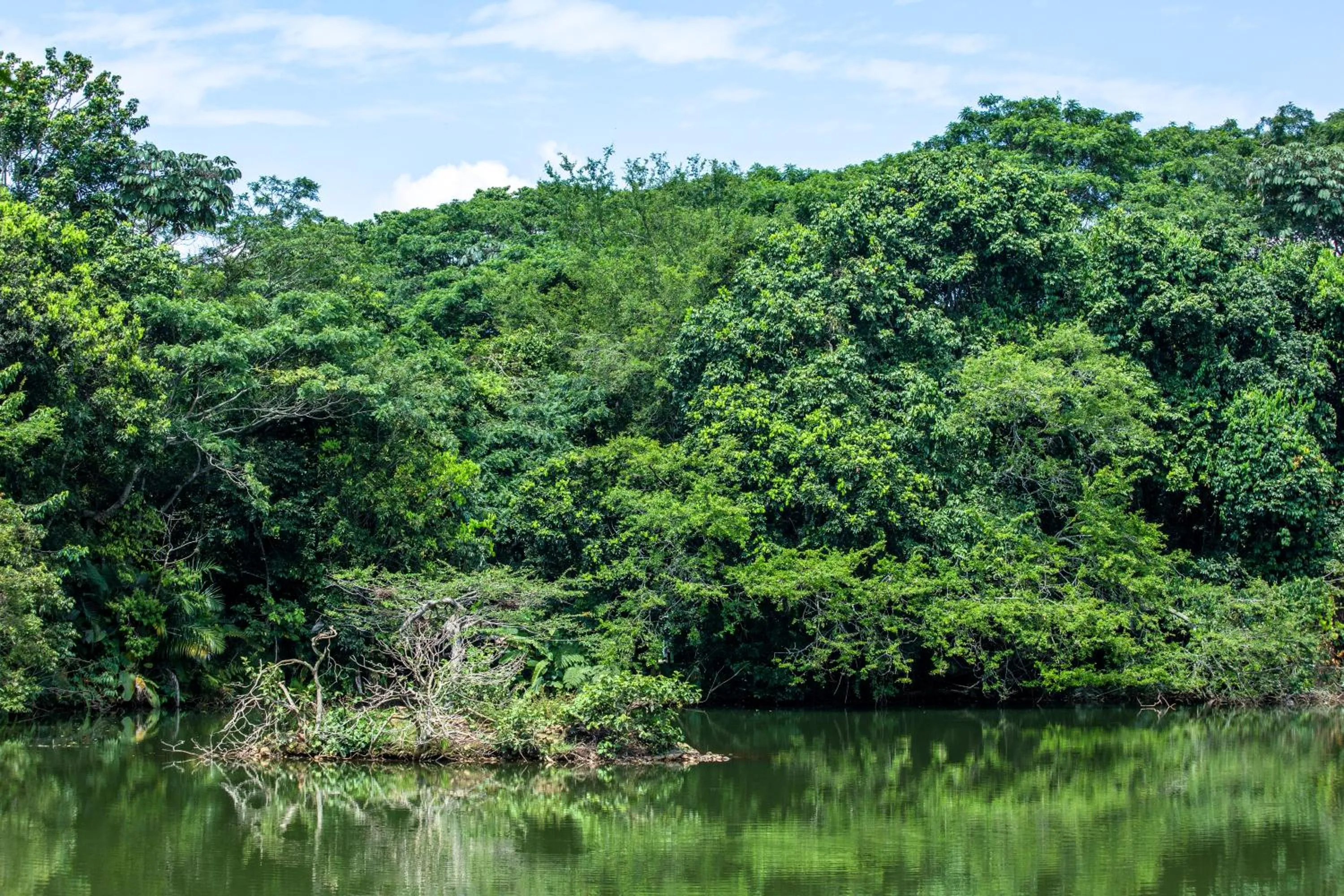 City view in Hotel Pance 122 Wellness Spa