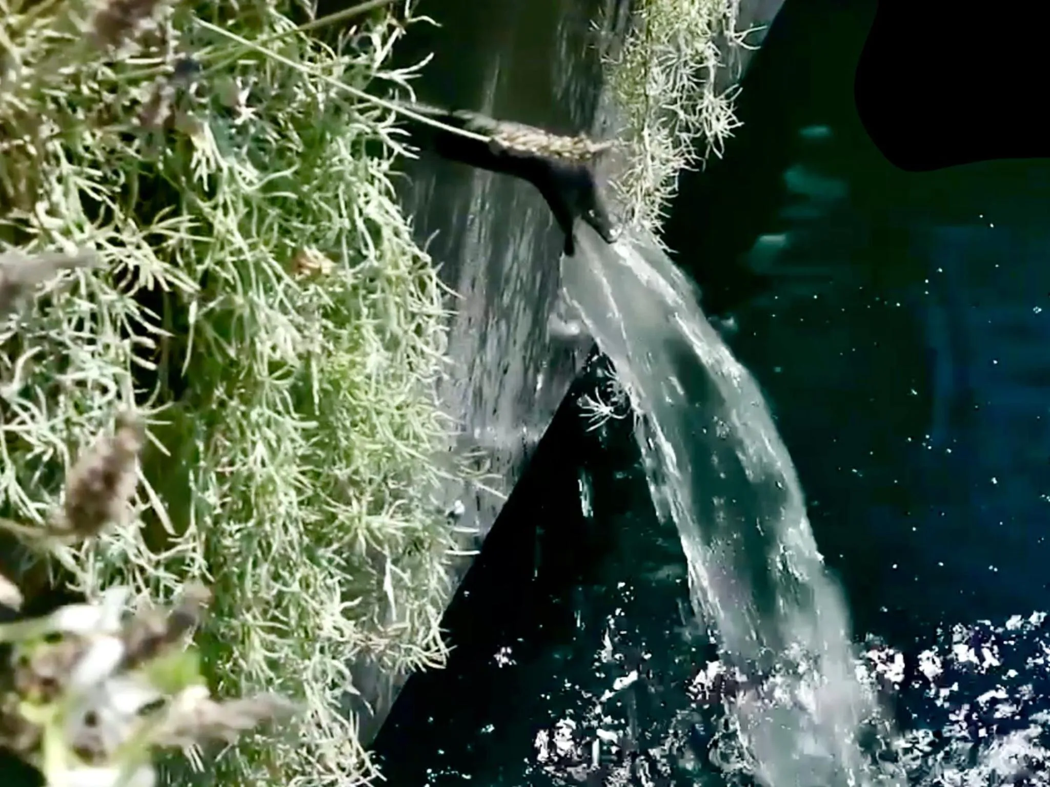 Swimming pool in Provence Km28