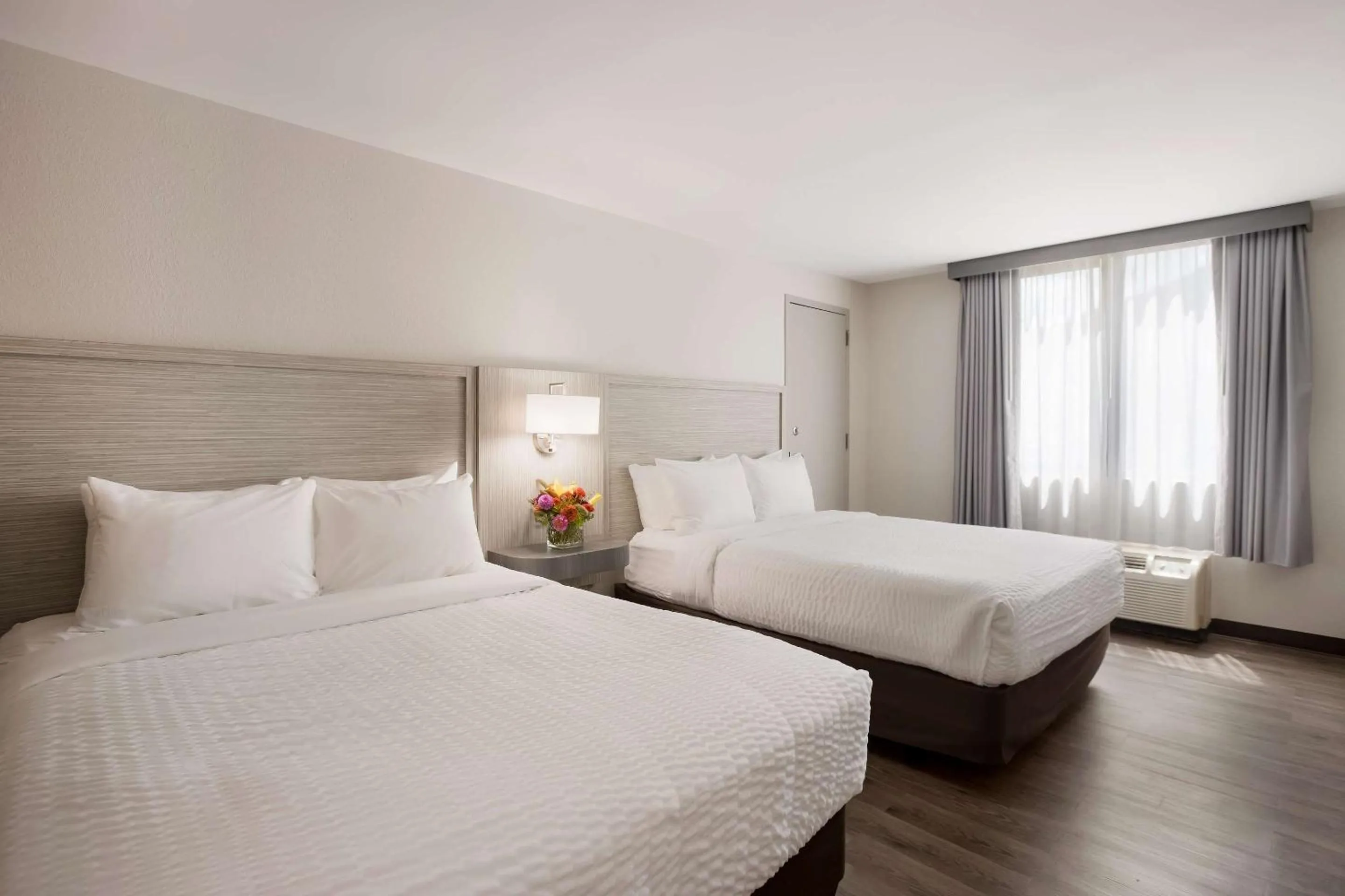 Bedroom, Bed in Clarion Pointe Sylva near Cherokee Area