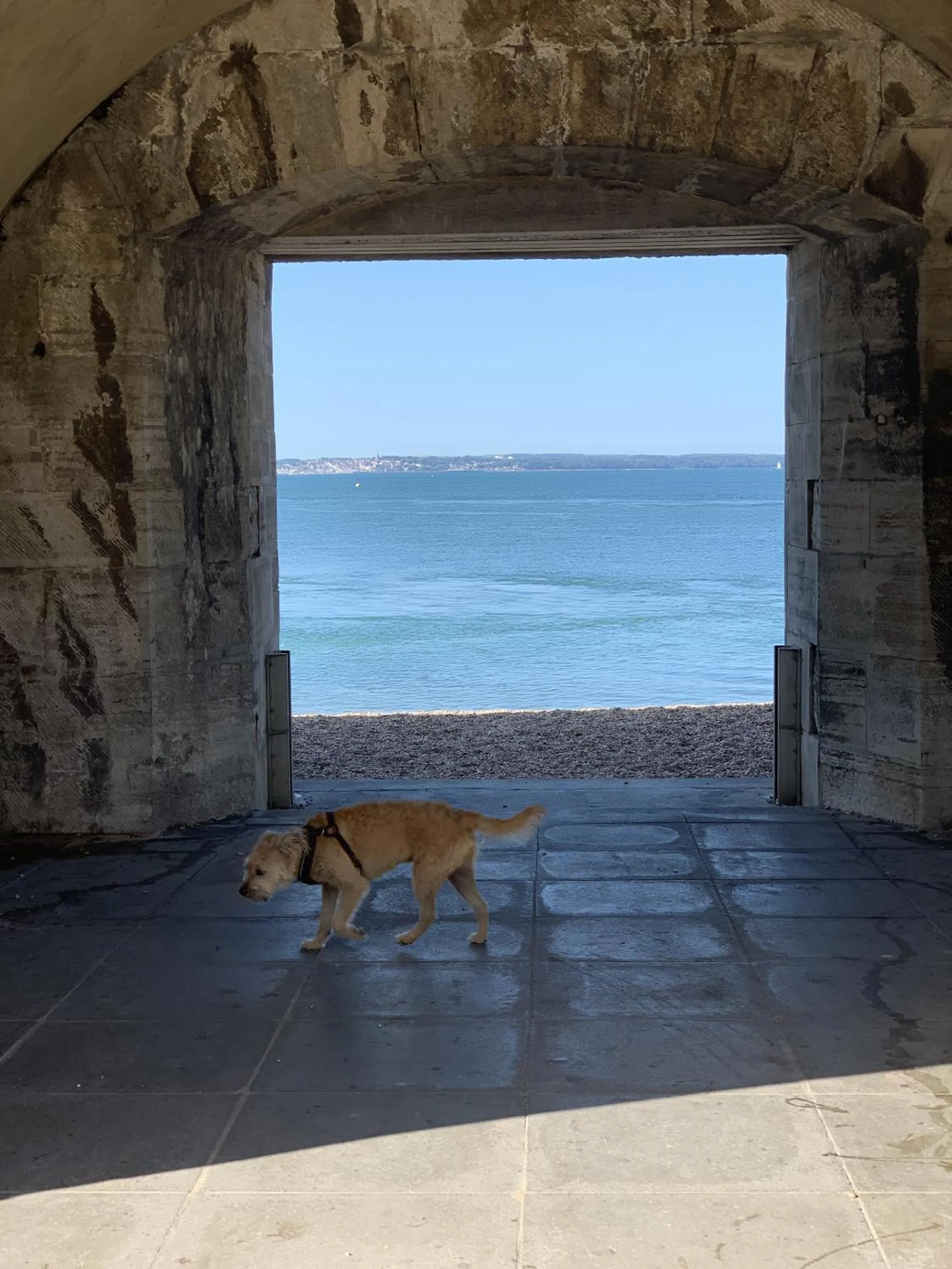 Neighbourhood in The Wellington Restaurant and Bar