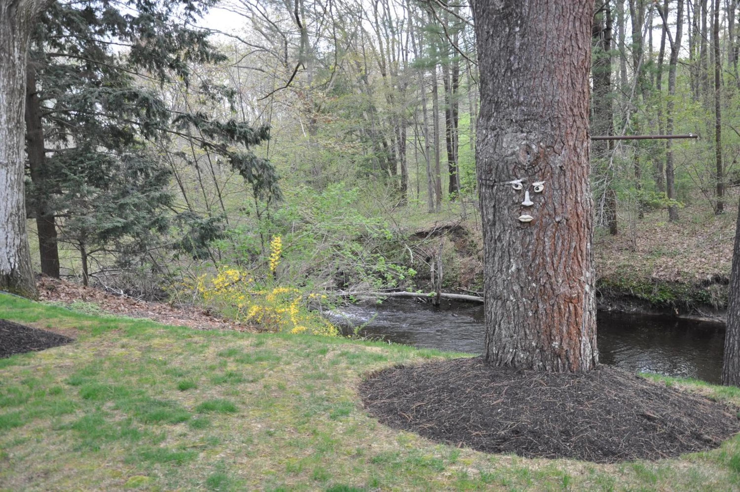 River view in Towne Lyne Motel