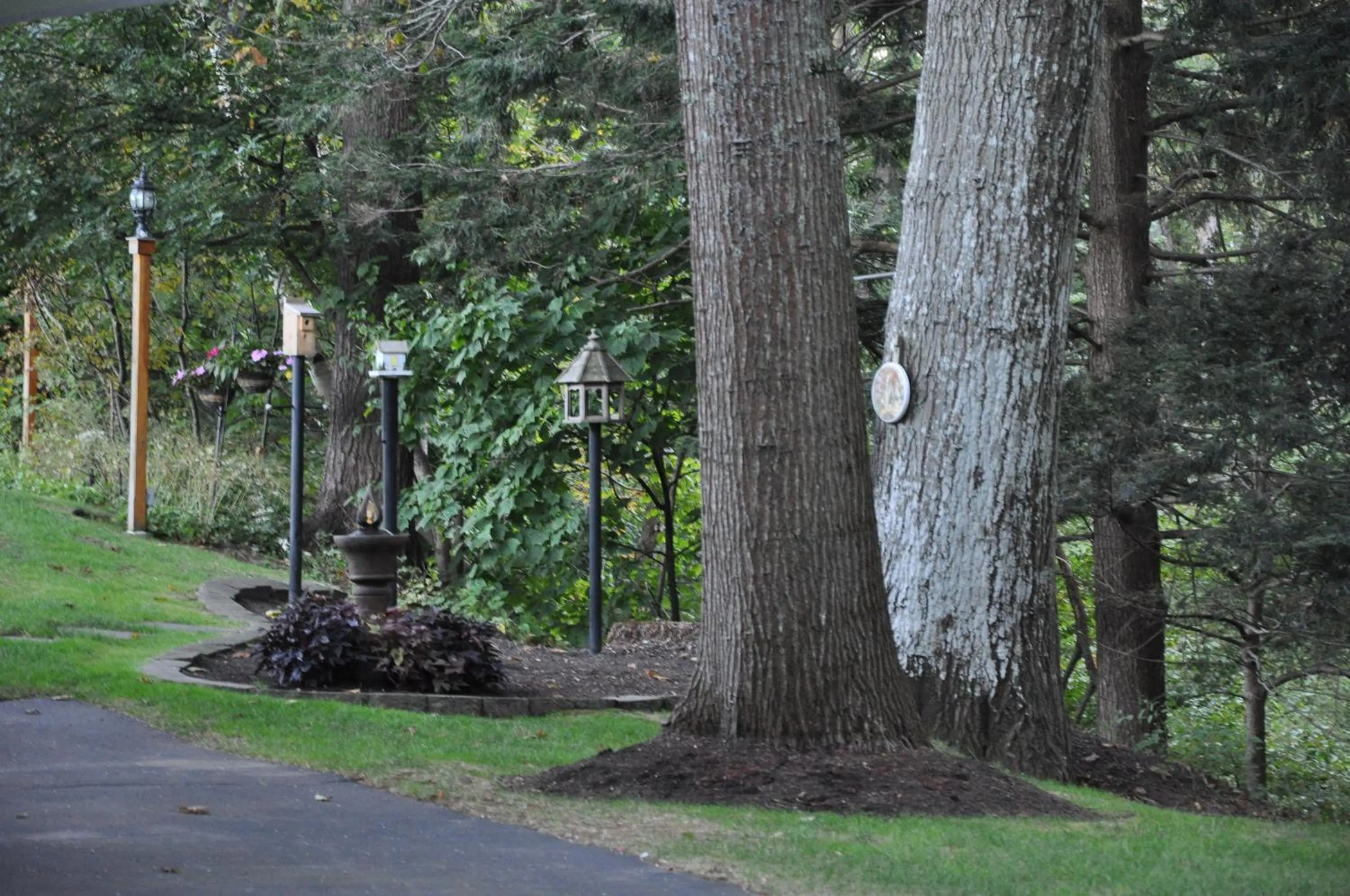 Garden view in Towne Lyne Motel