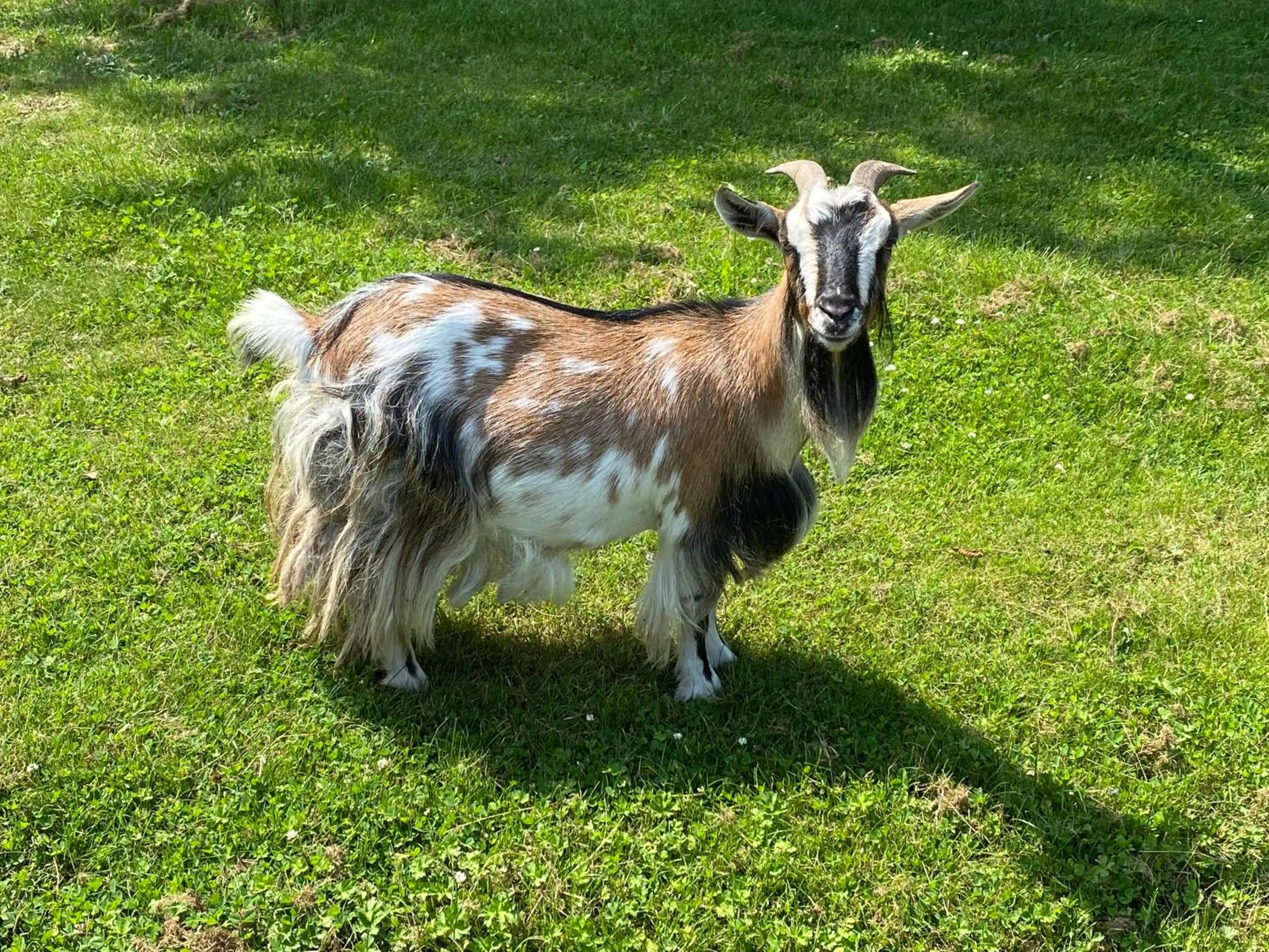 Day in Amirauté Hôtel Golf Deauville