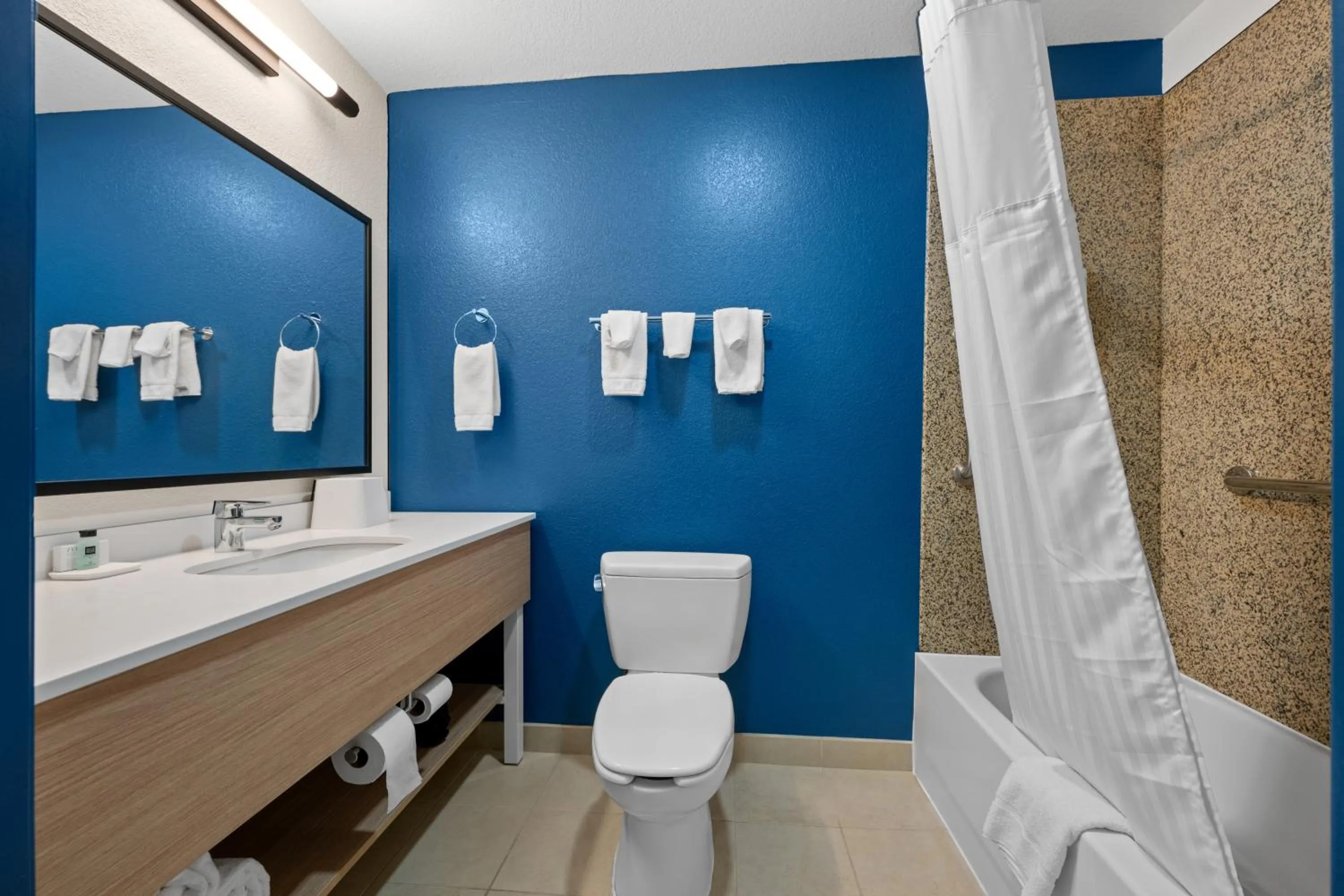 Toilet in Spark by Hilton Homewood Birmingham