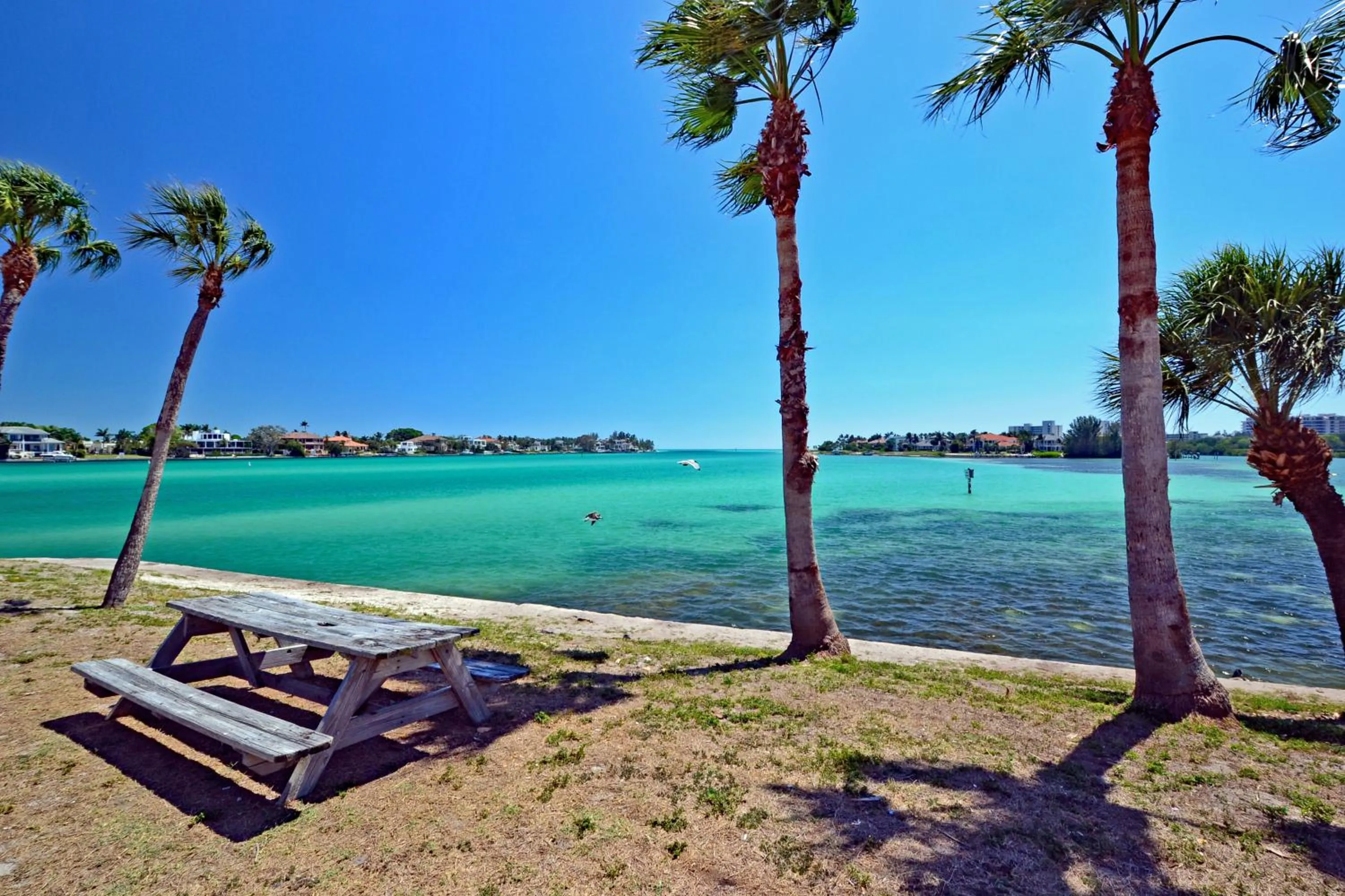 Siesta Key Beach - Tropea 665 #3