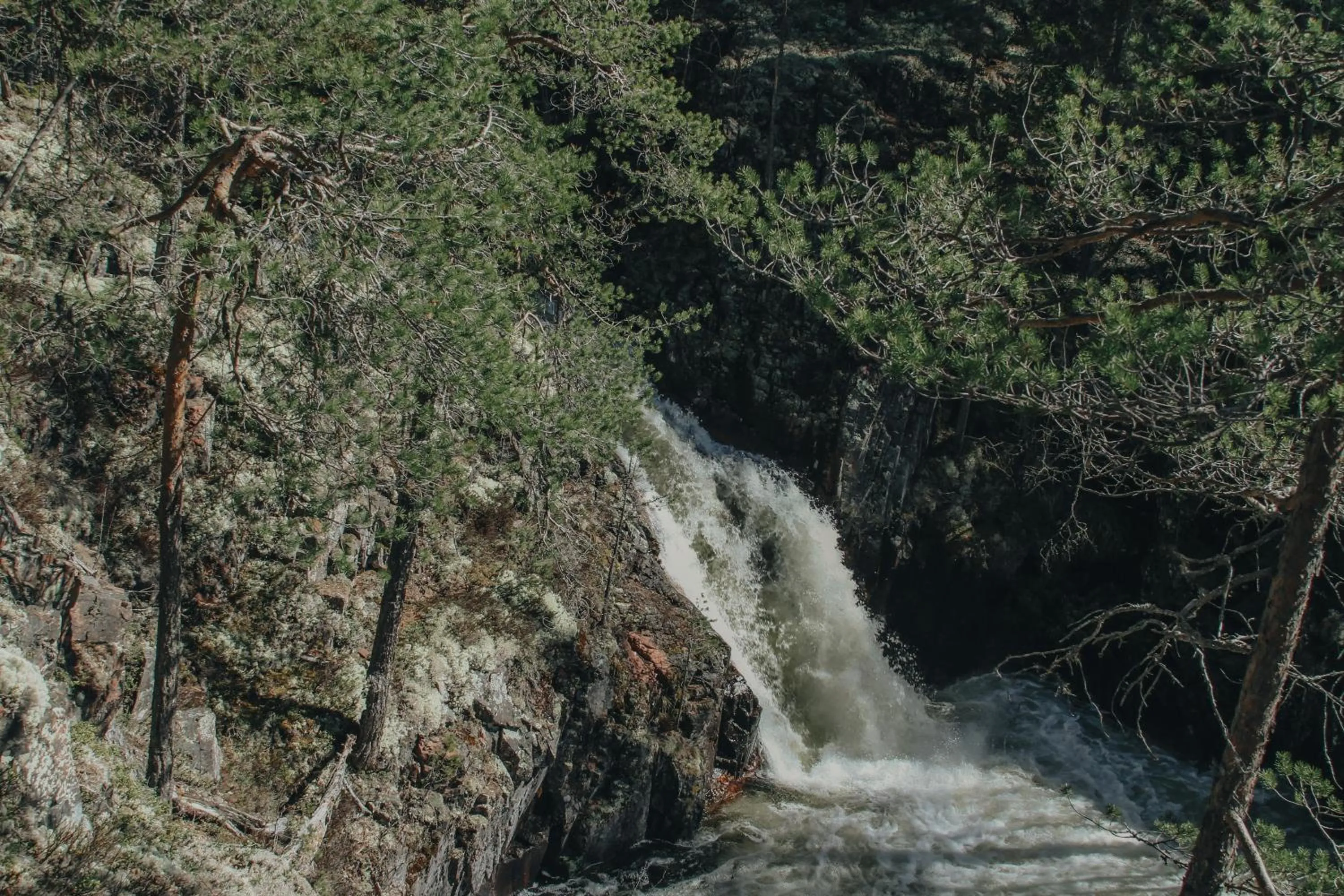 Spring in Åsens Vandrarhem Uvboet
