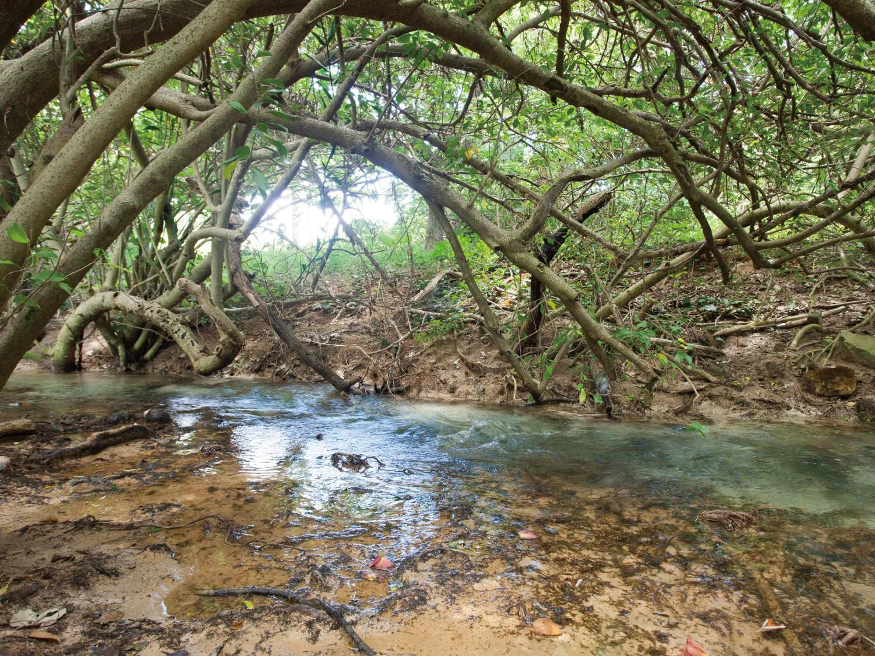 Off site in Sunset Resort Canphou