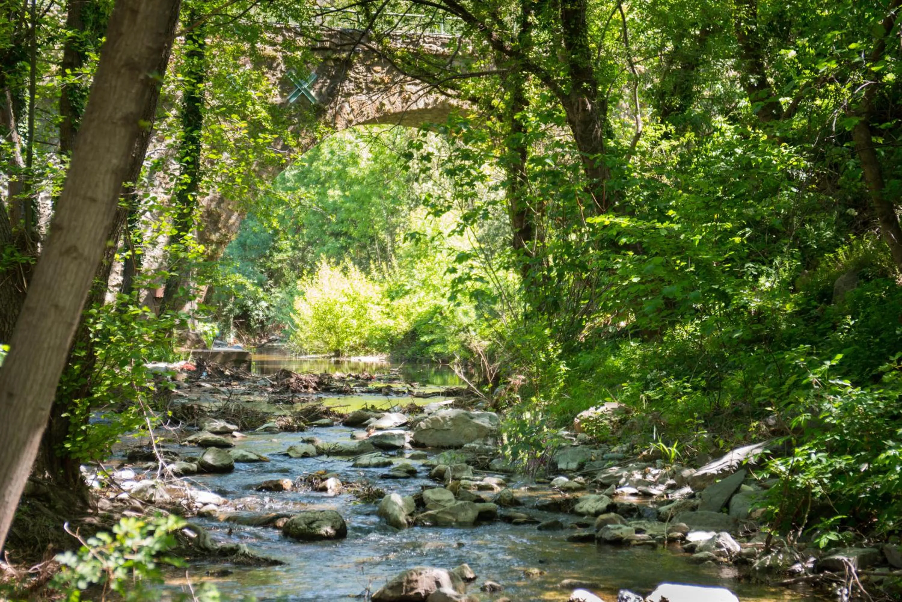Neighbourhood in villa d'illouvre