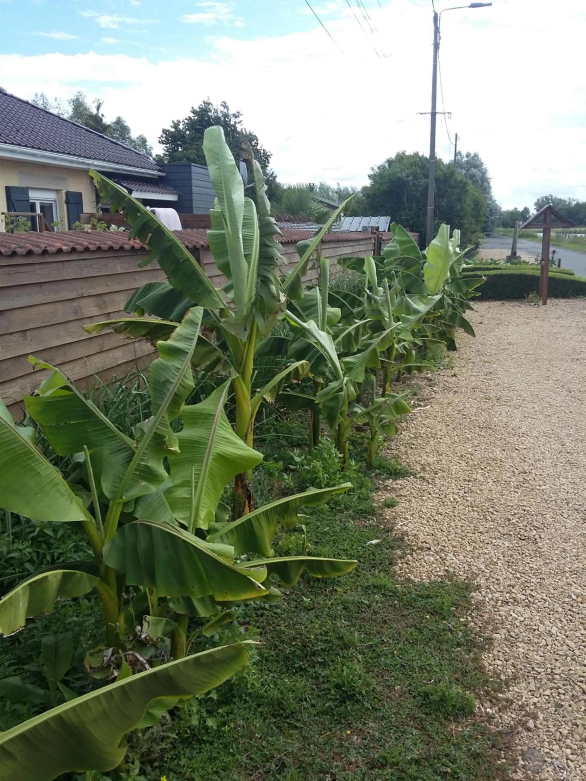 Natural landscape in Le Paradis