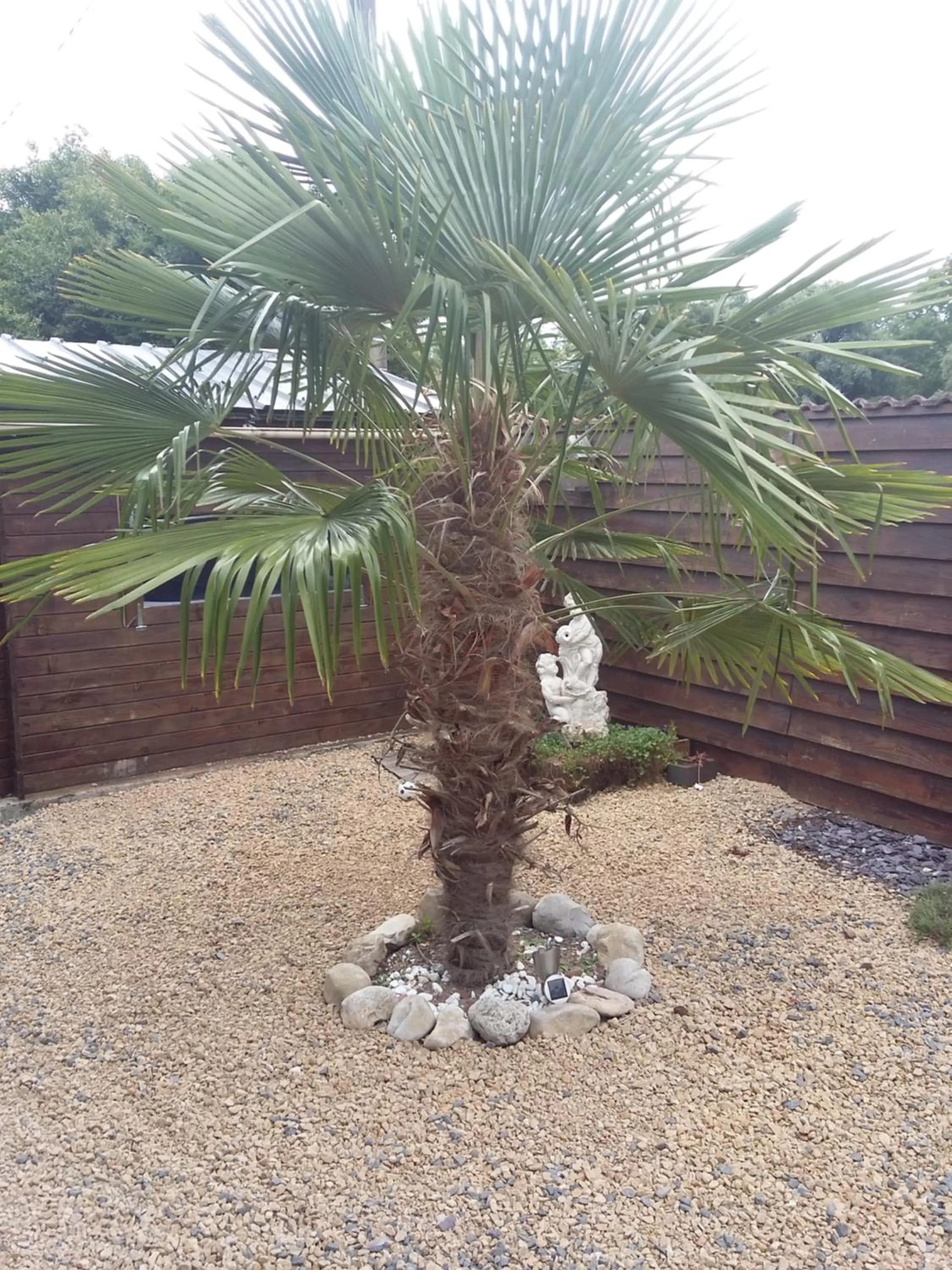 Garden view in Le Paradis